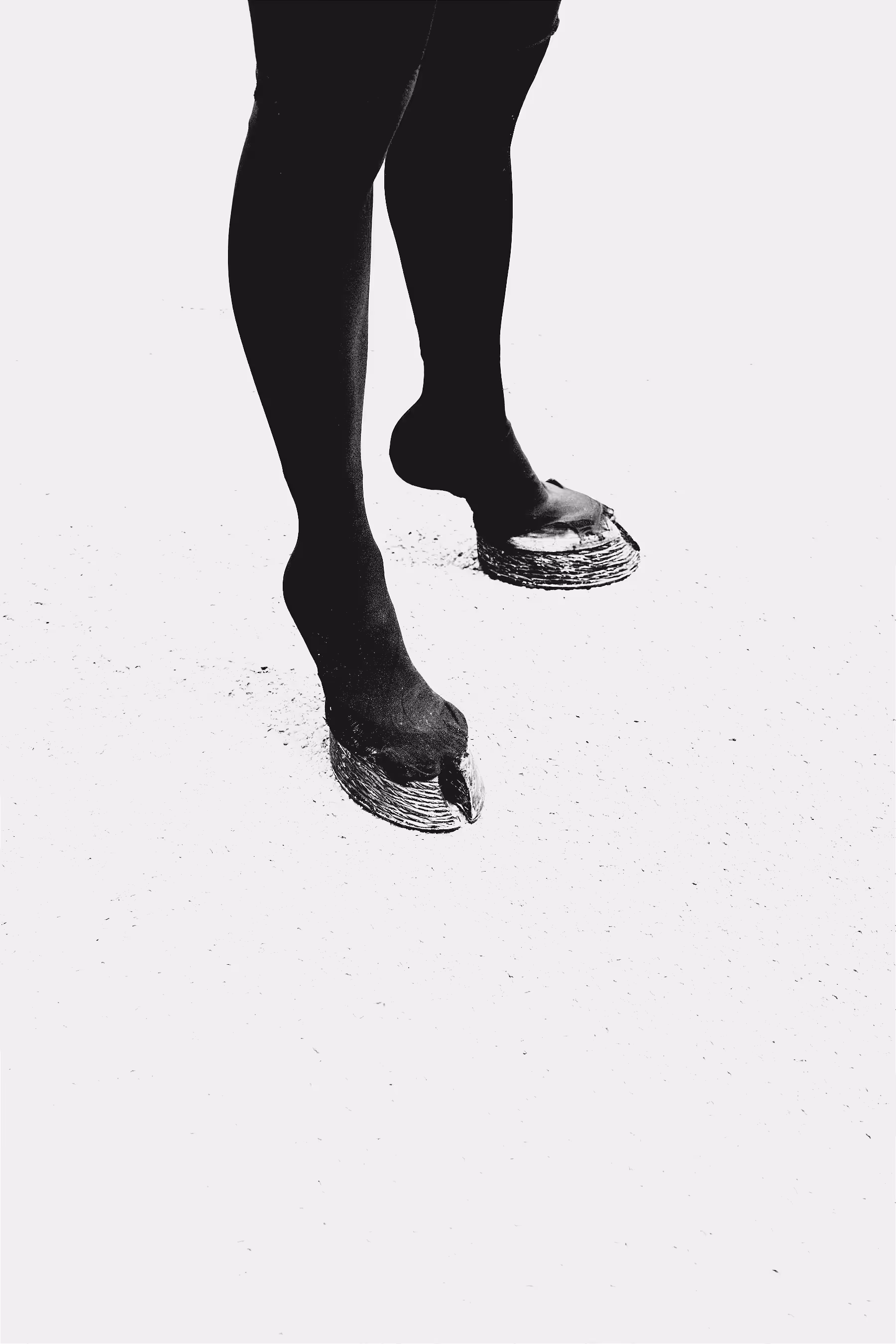 IV: HOOVES