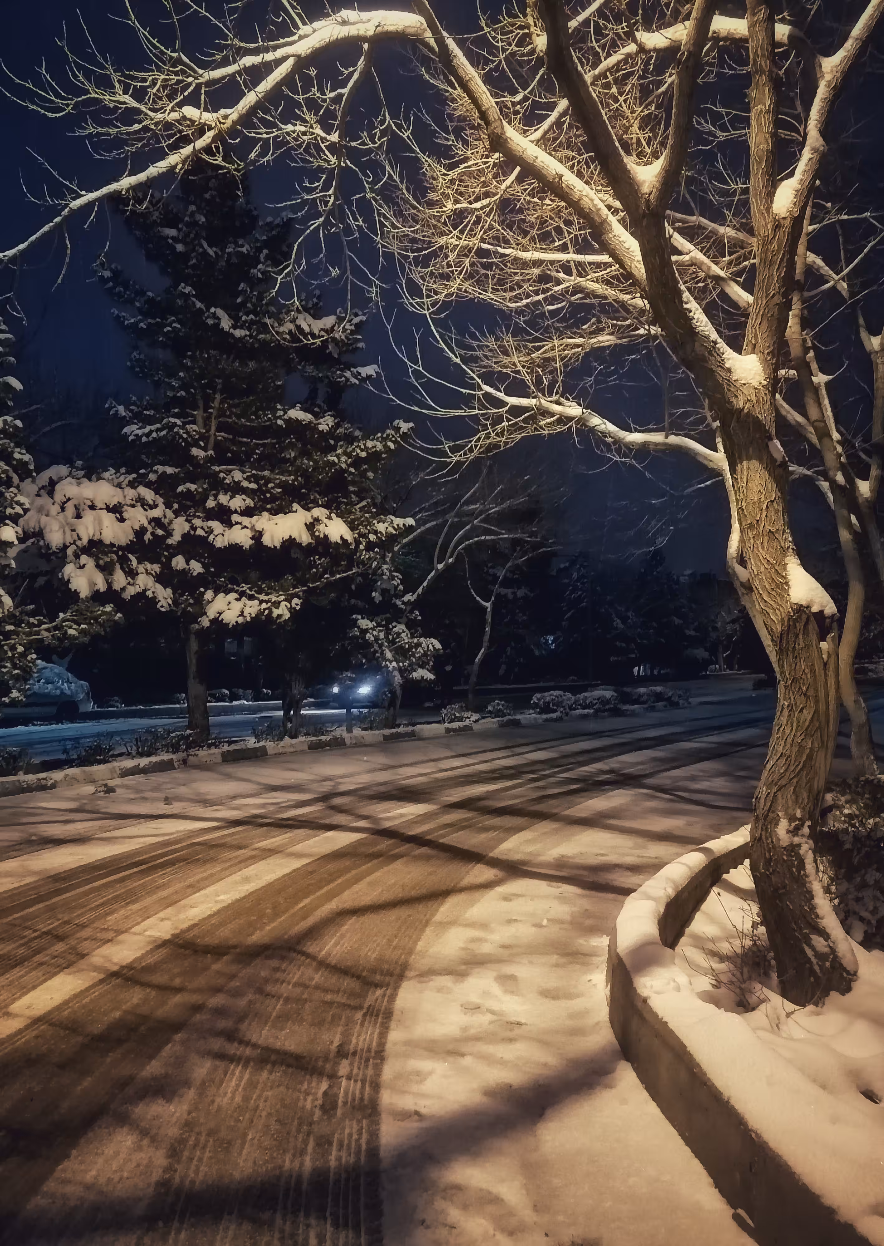 The silence of the street embraced by winter
