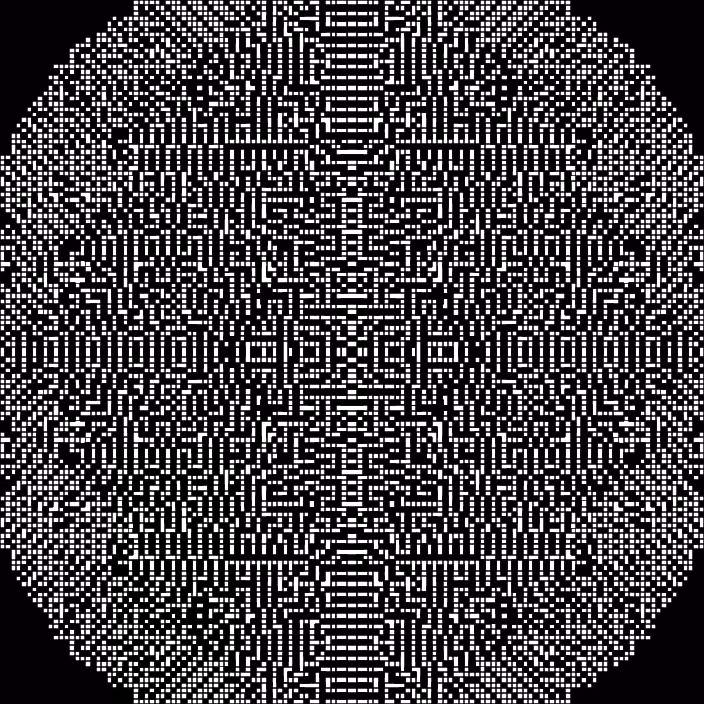 Cellular Canvas #163