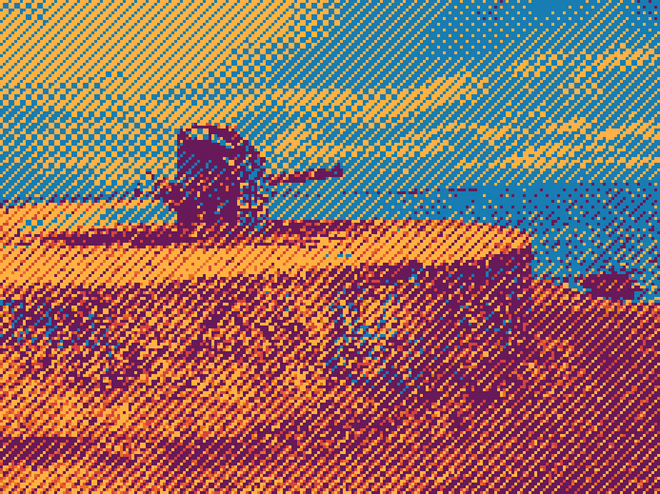The scars of war