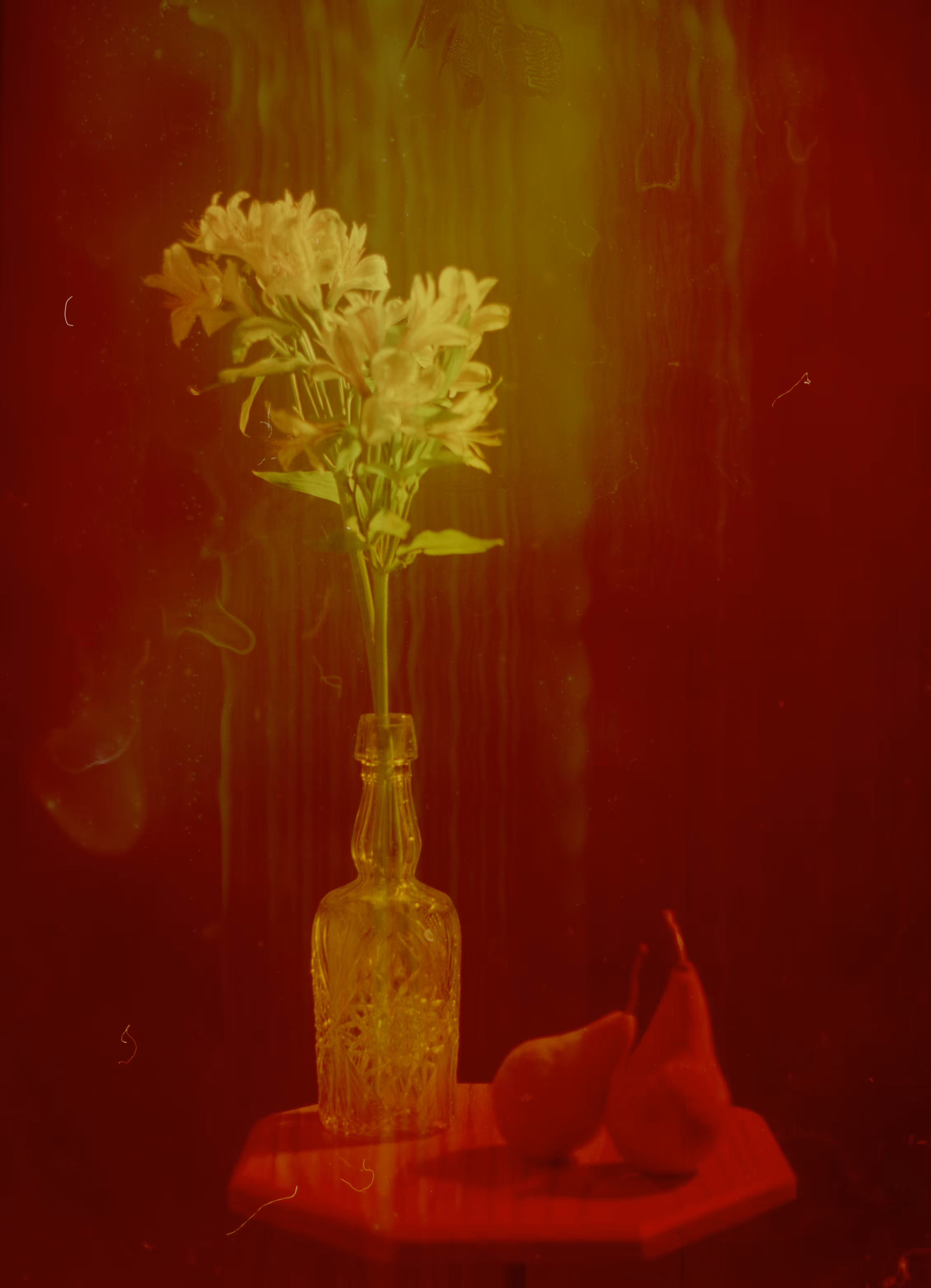 A Caustic Love Story 