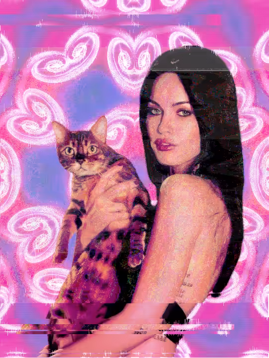 megan kitten