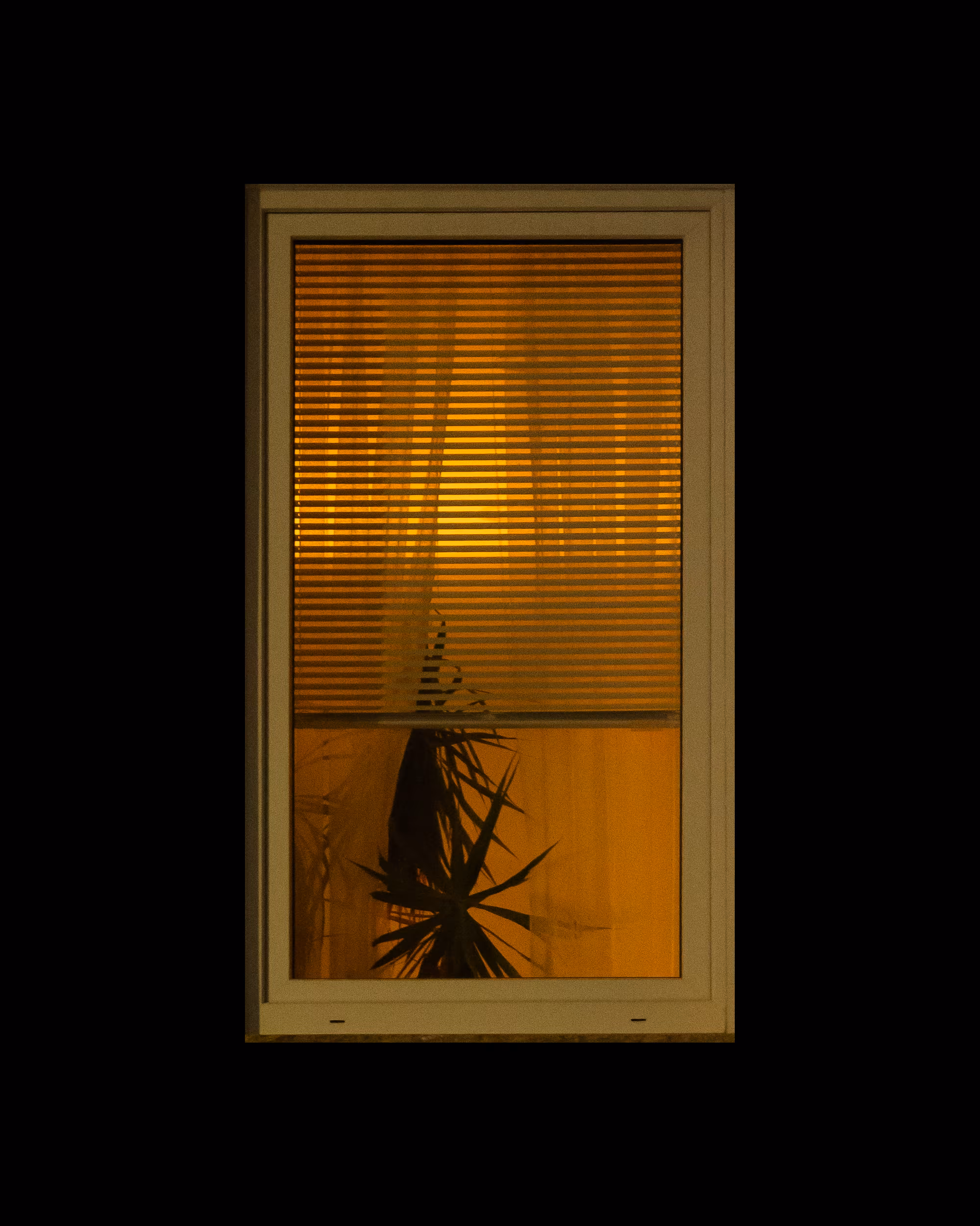 WINDOWS // NYC: WINDOW 709