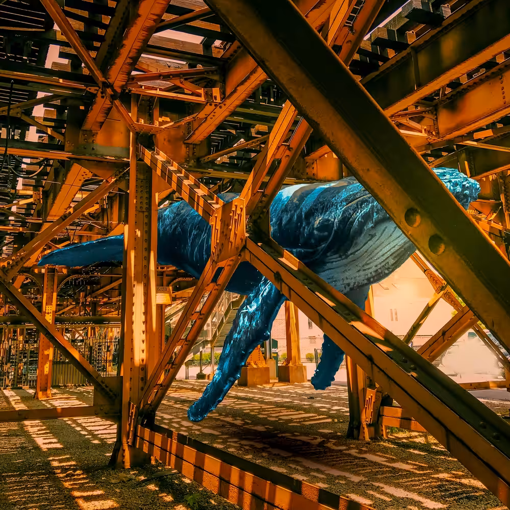Whaling Steel