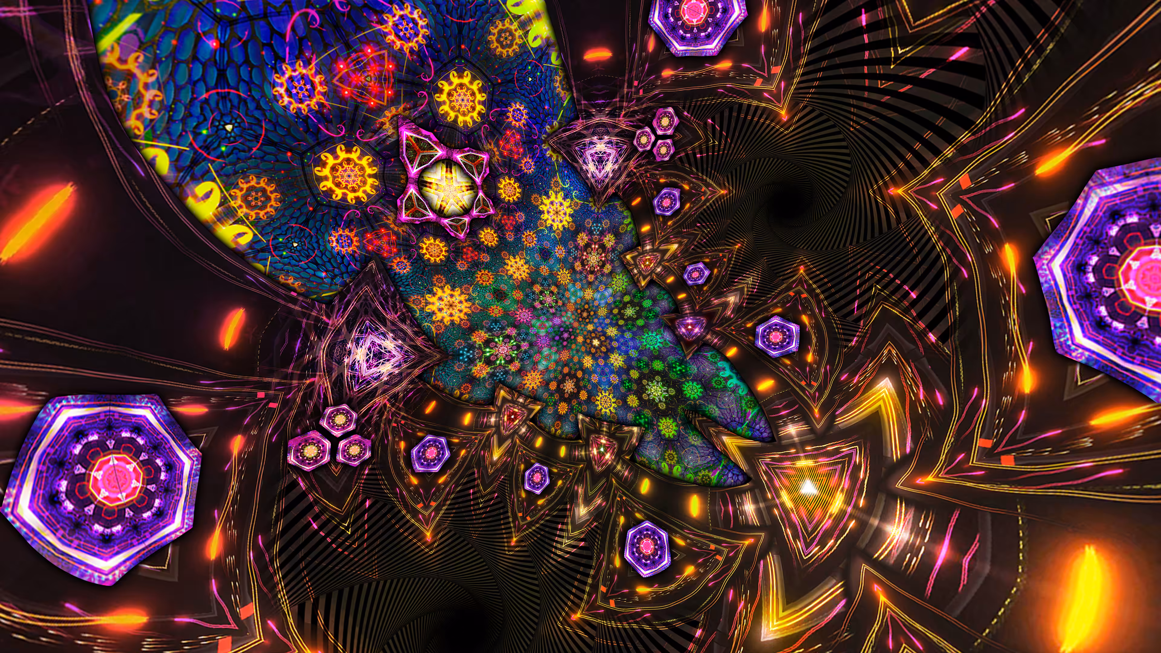 Warp #048