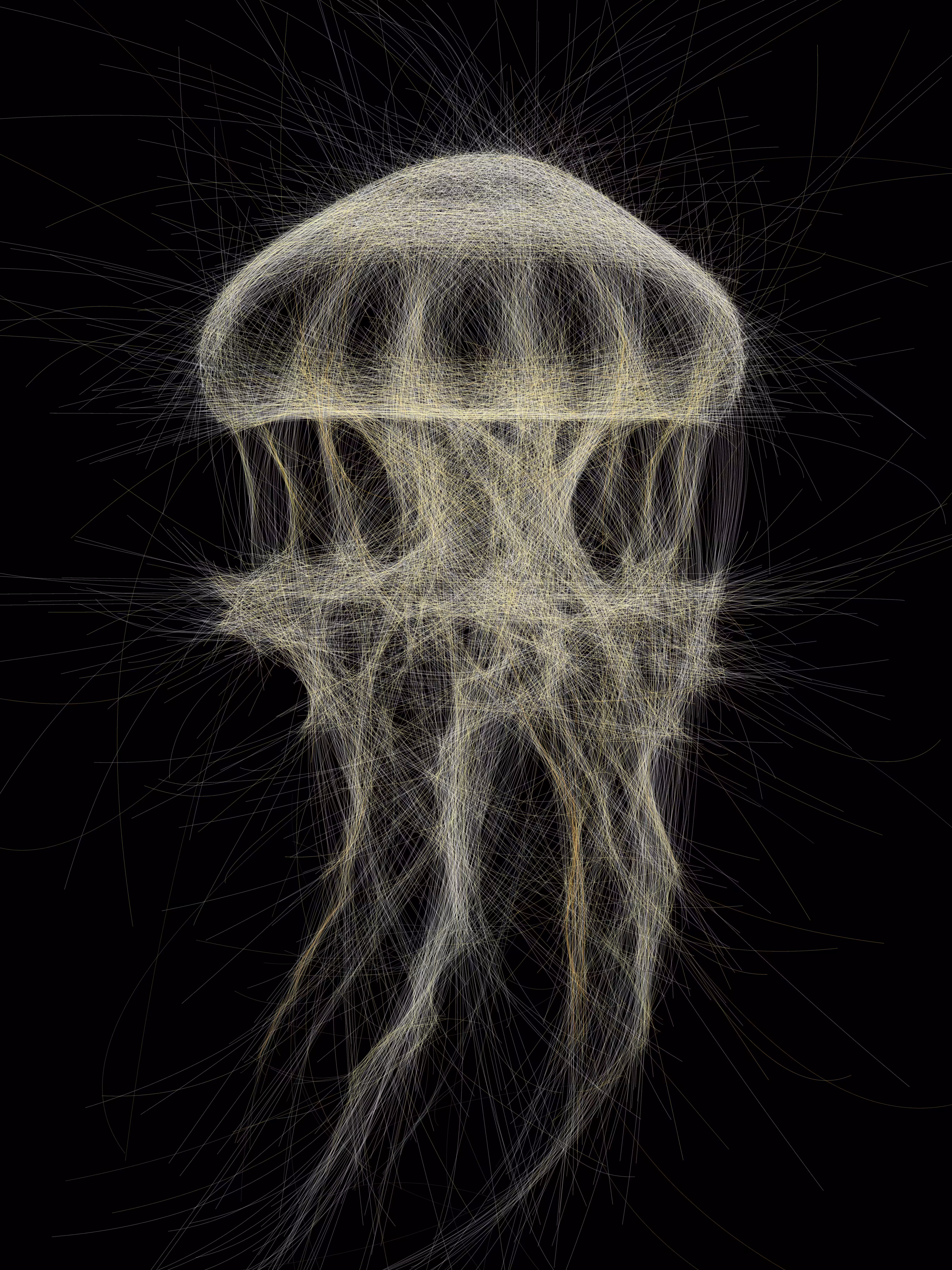 Underwater 368