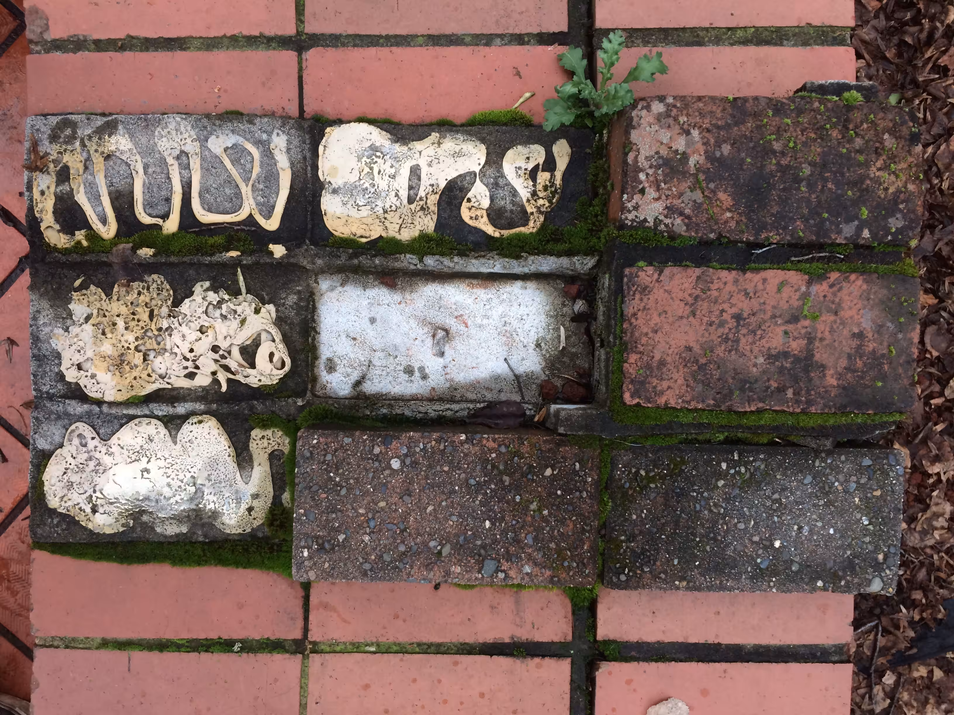 Brick Tac Toe
