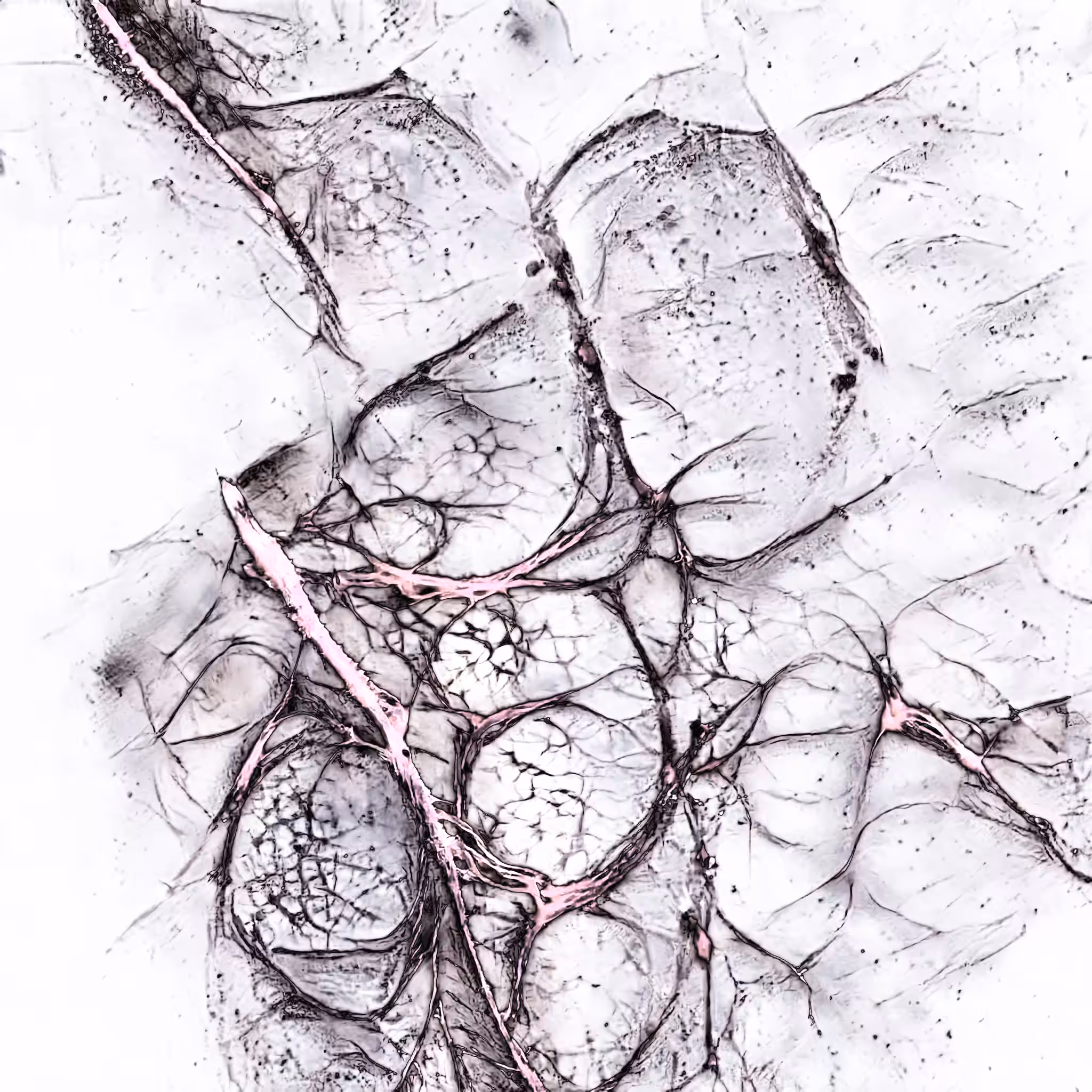 Generative dance #02