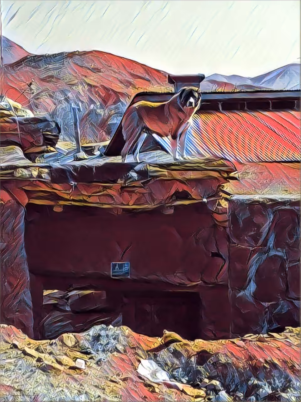 DOG