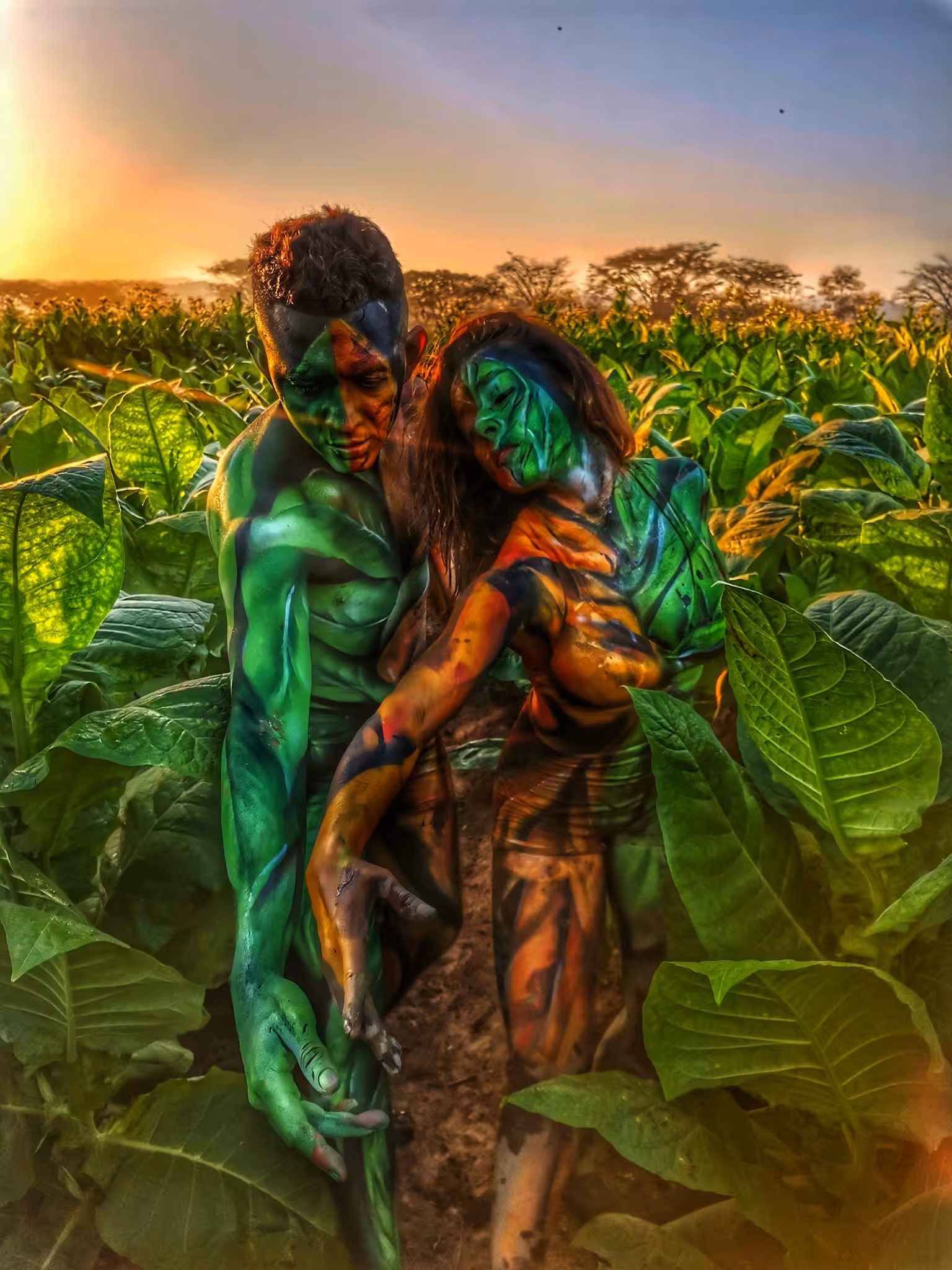 Art in Danli's tobacco fields 