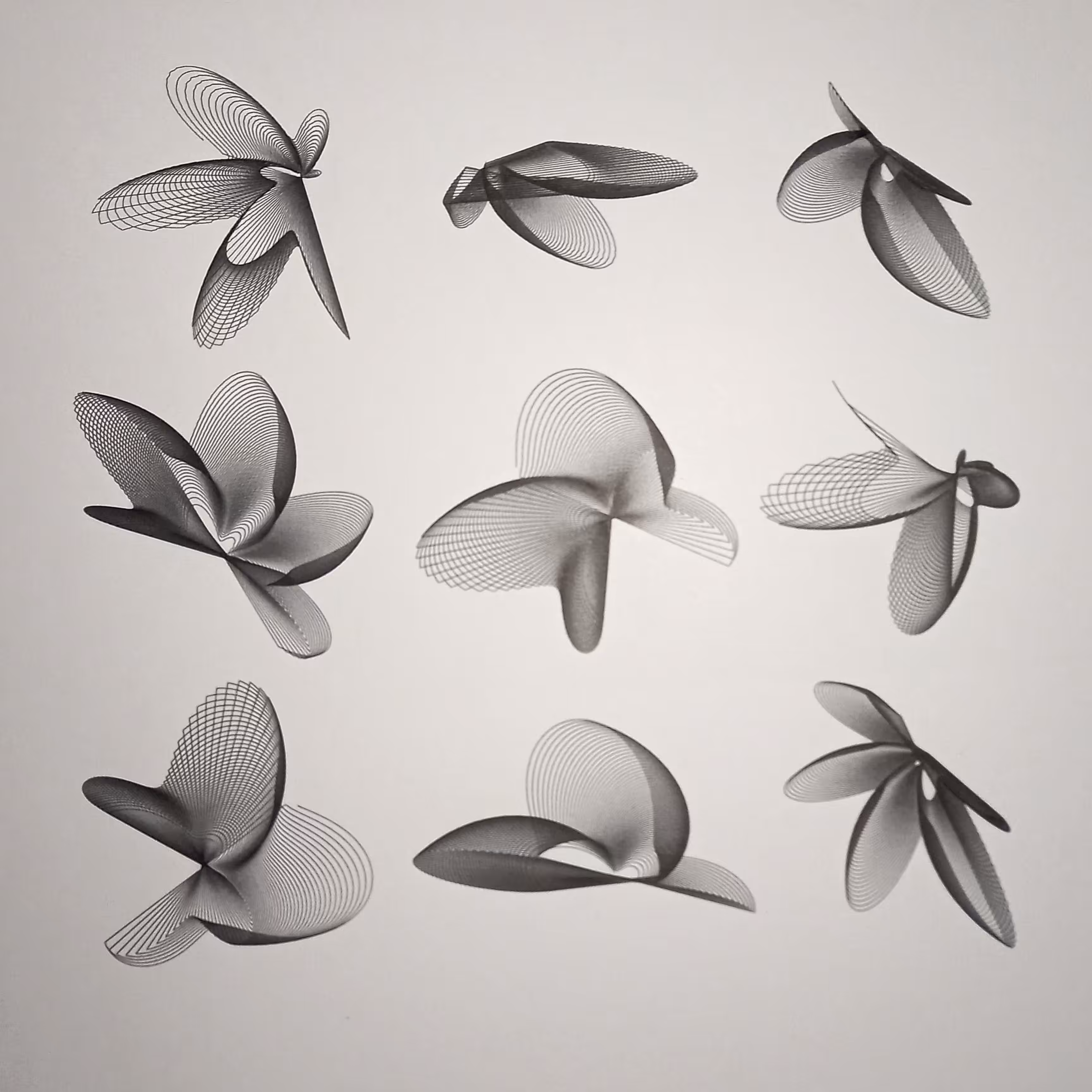 lepidoptera constructs