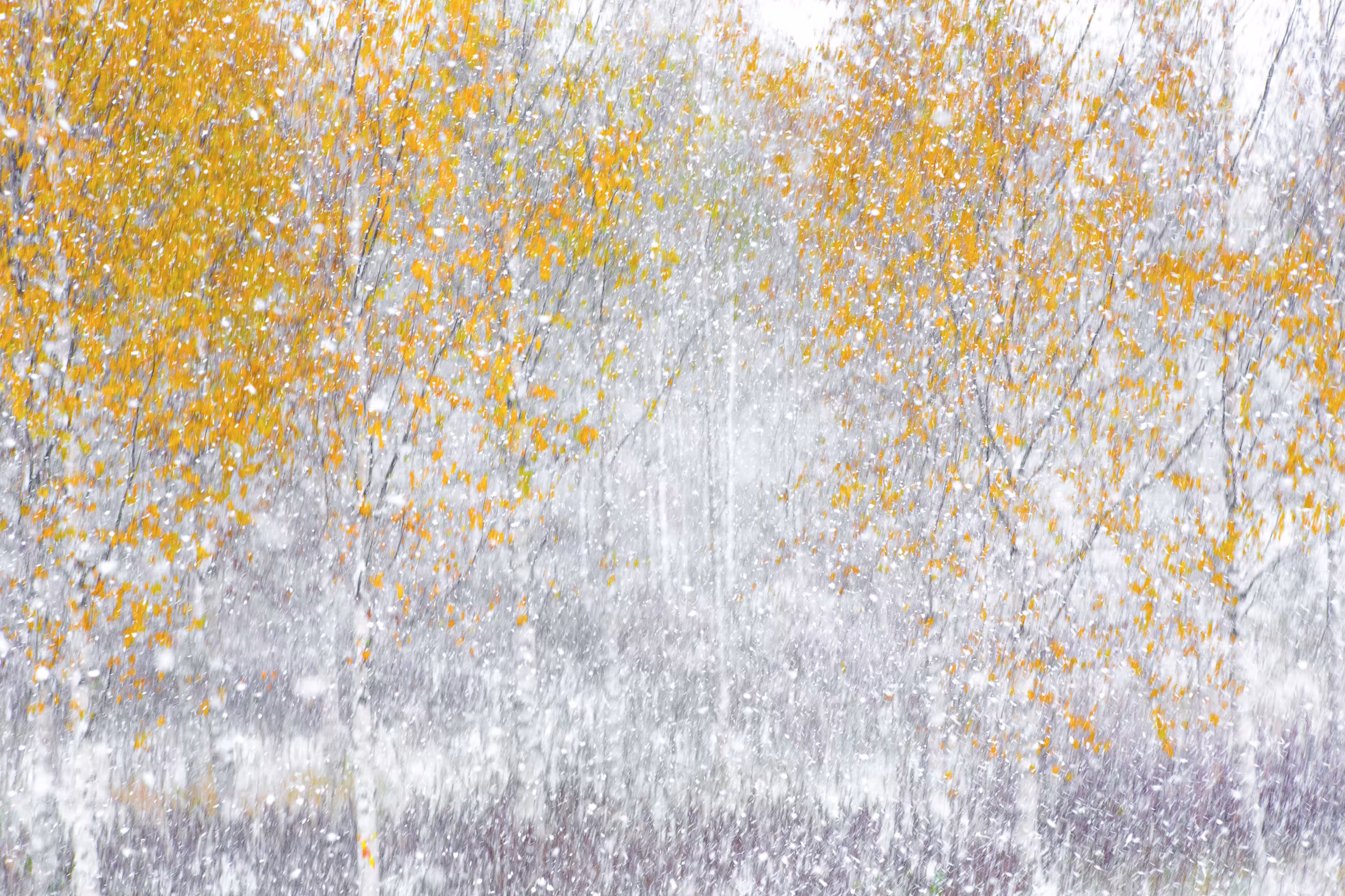 First snow
