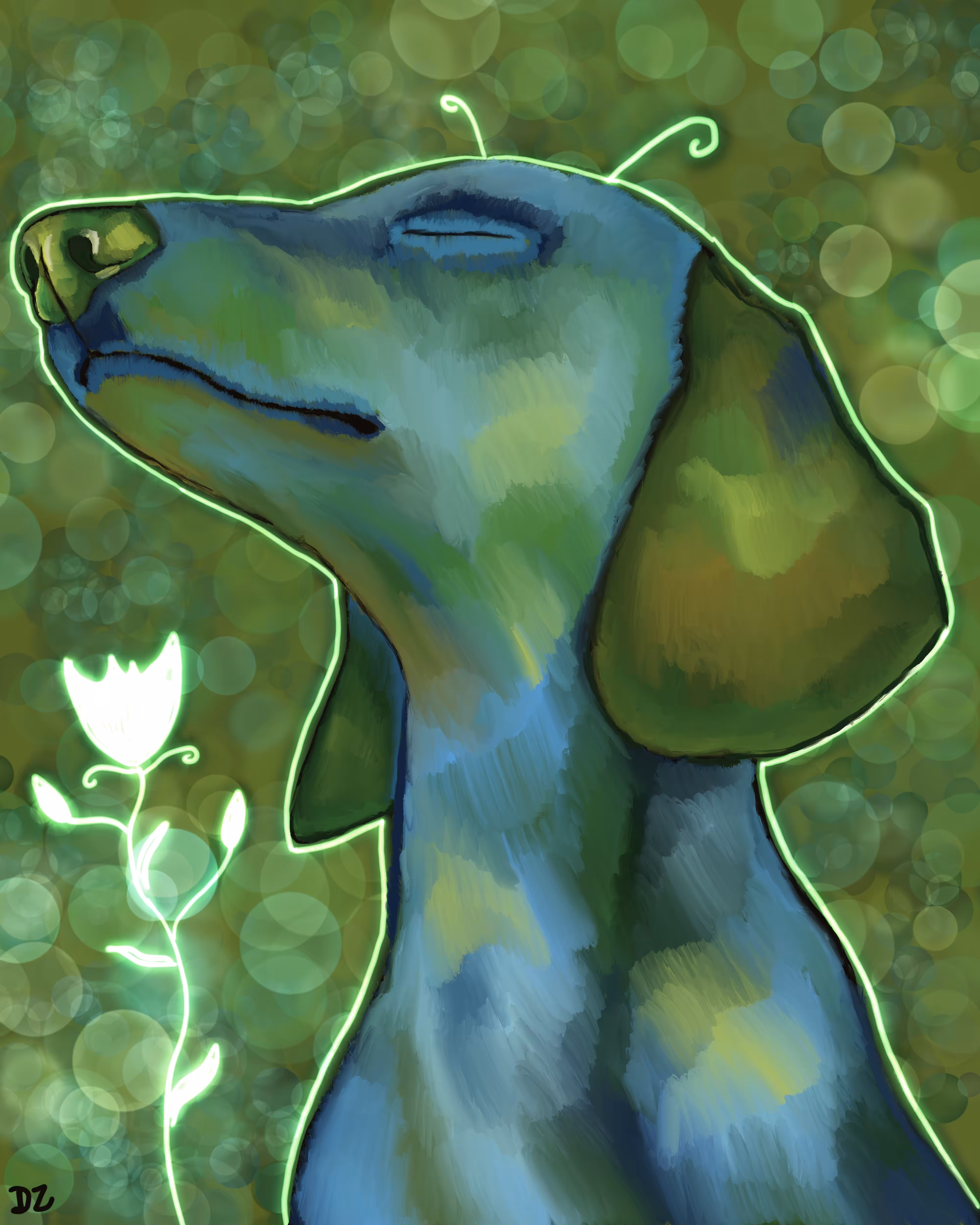 Dachshund