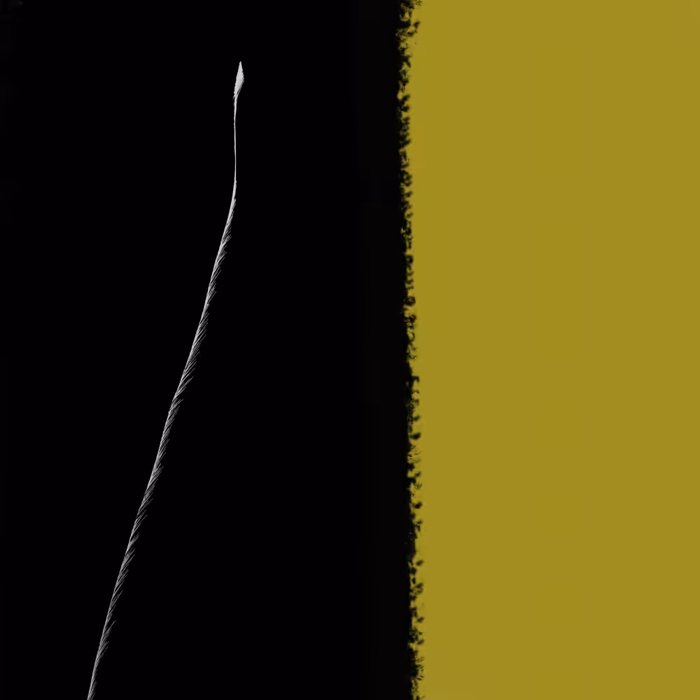 Two