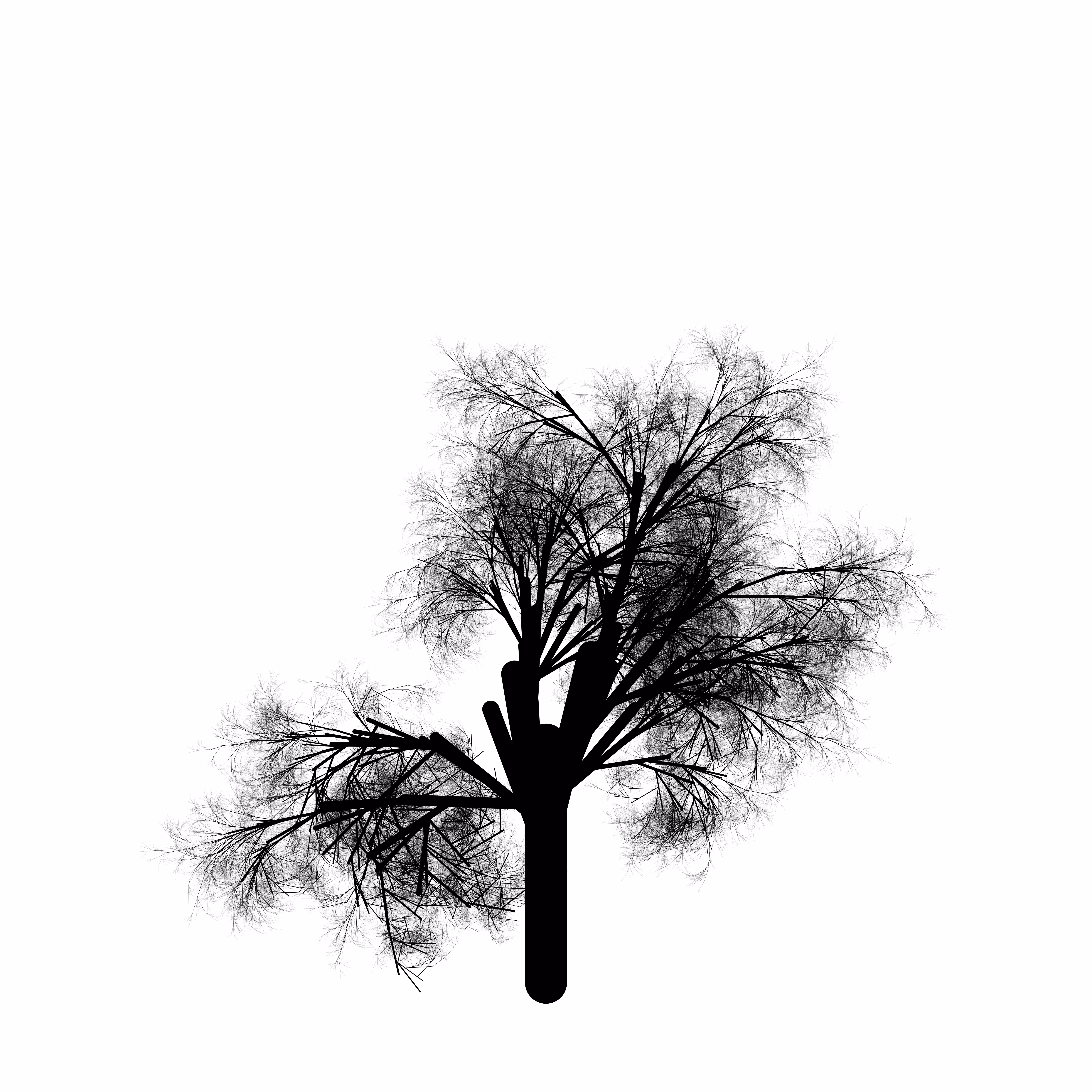 qTrees1 #81