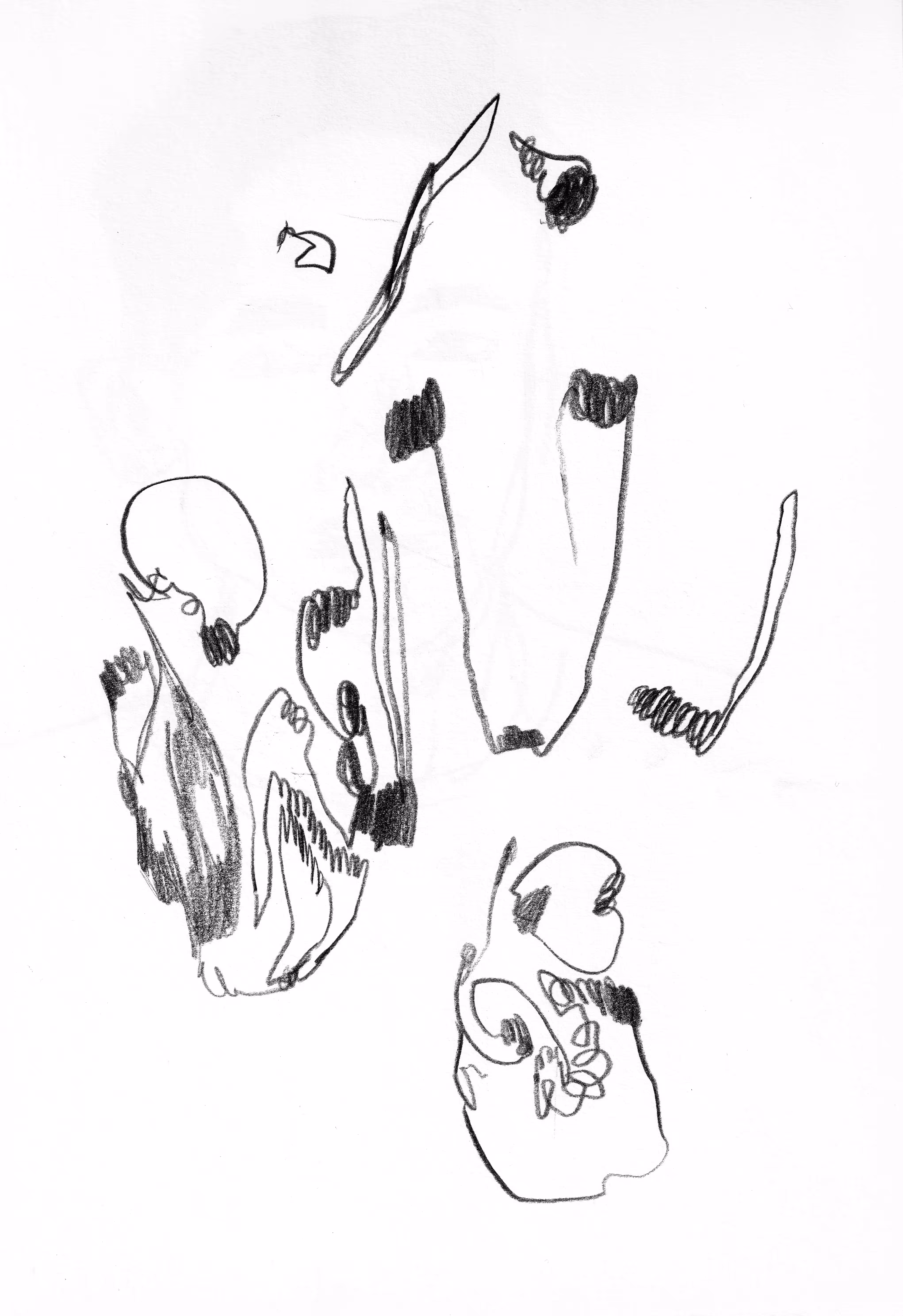 Sp050223