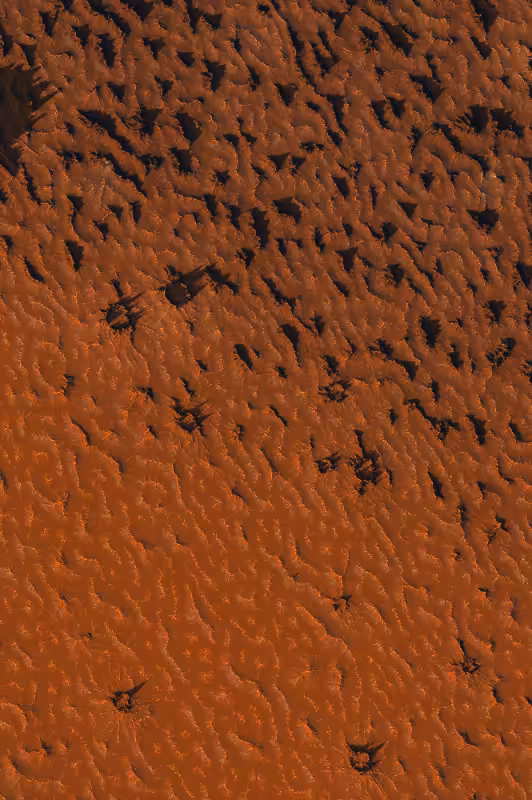 Reconnaissance #289