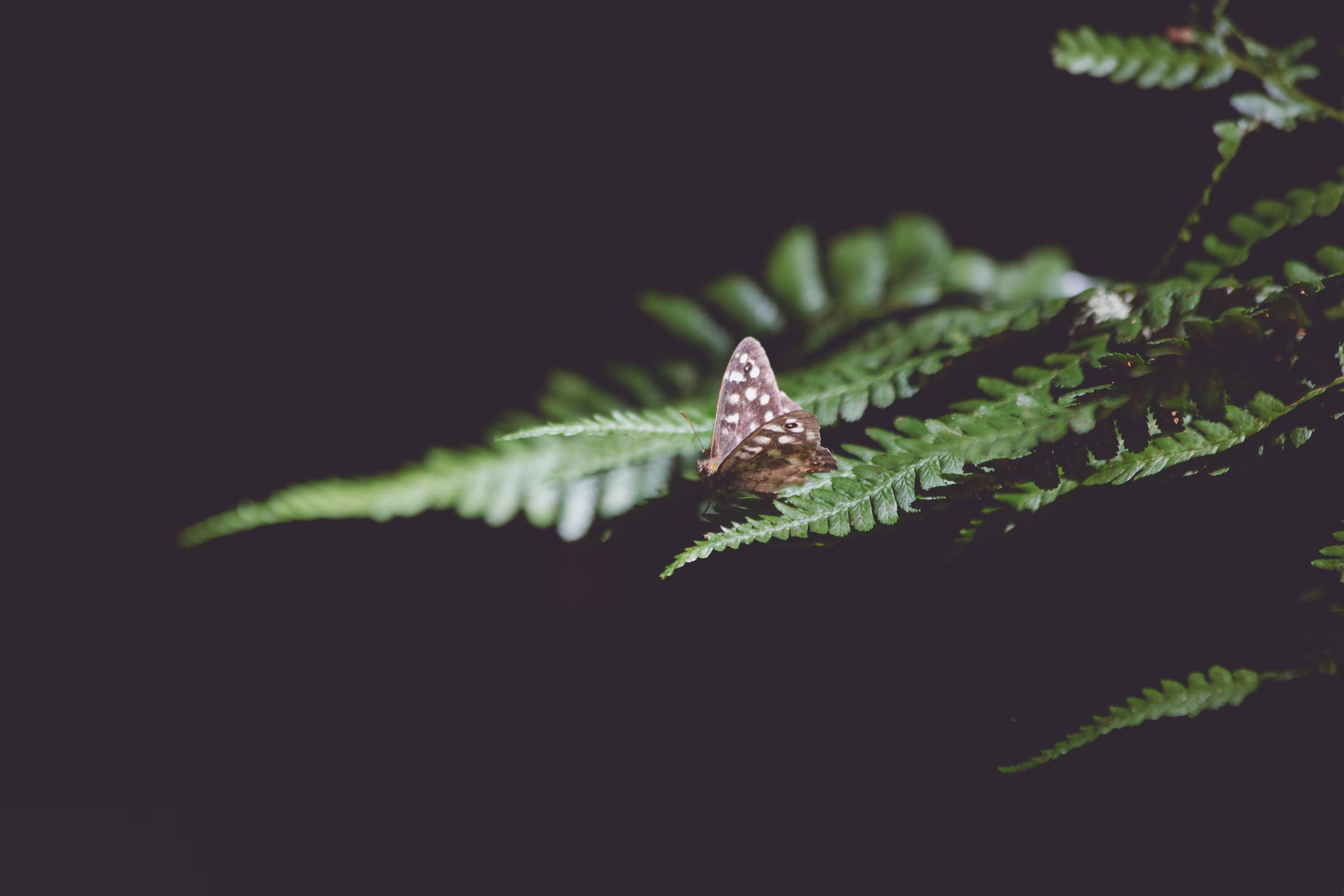 Knowing When