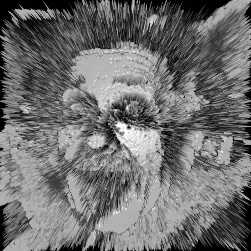 Perlin Einstein