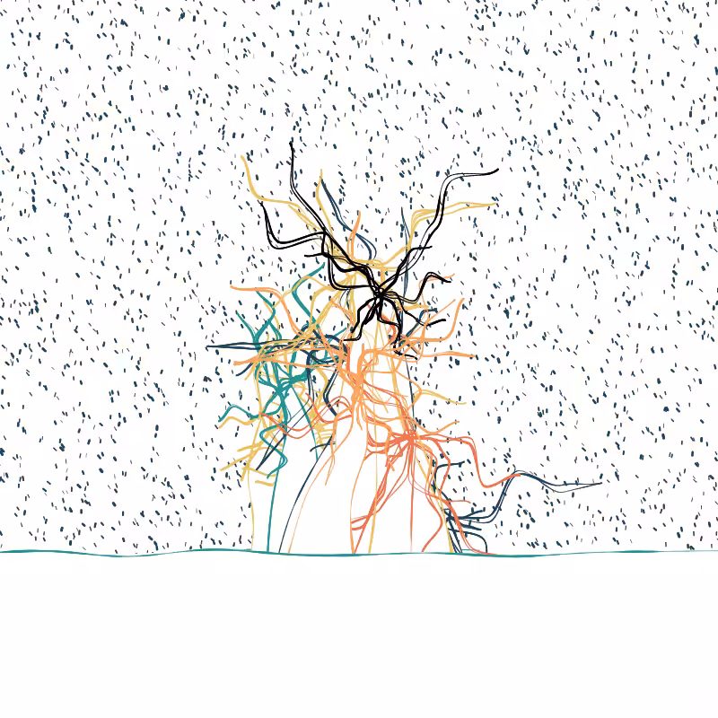 The Good Corals #147