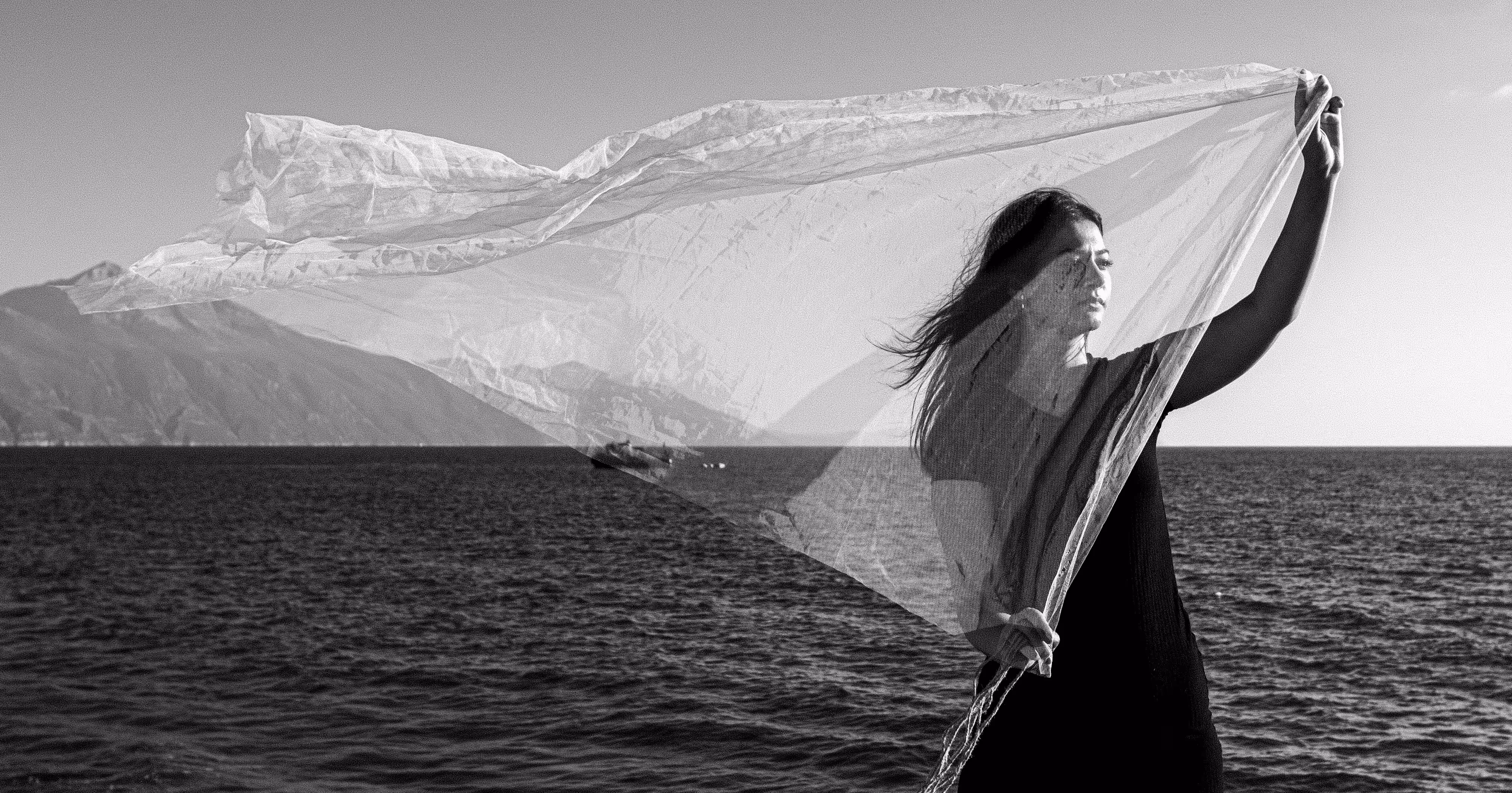 Panoramic Poetry Editions