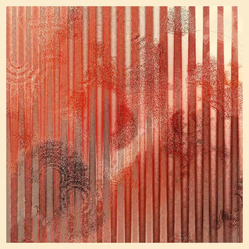 a pale reflection #41