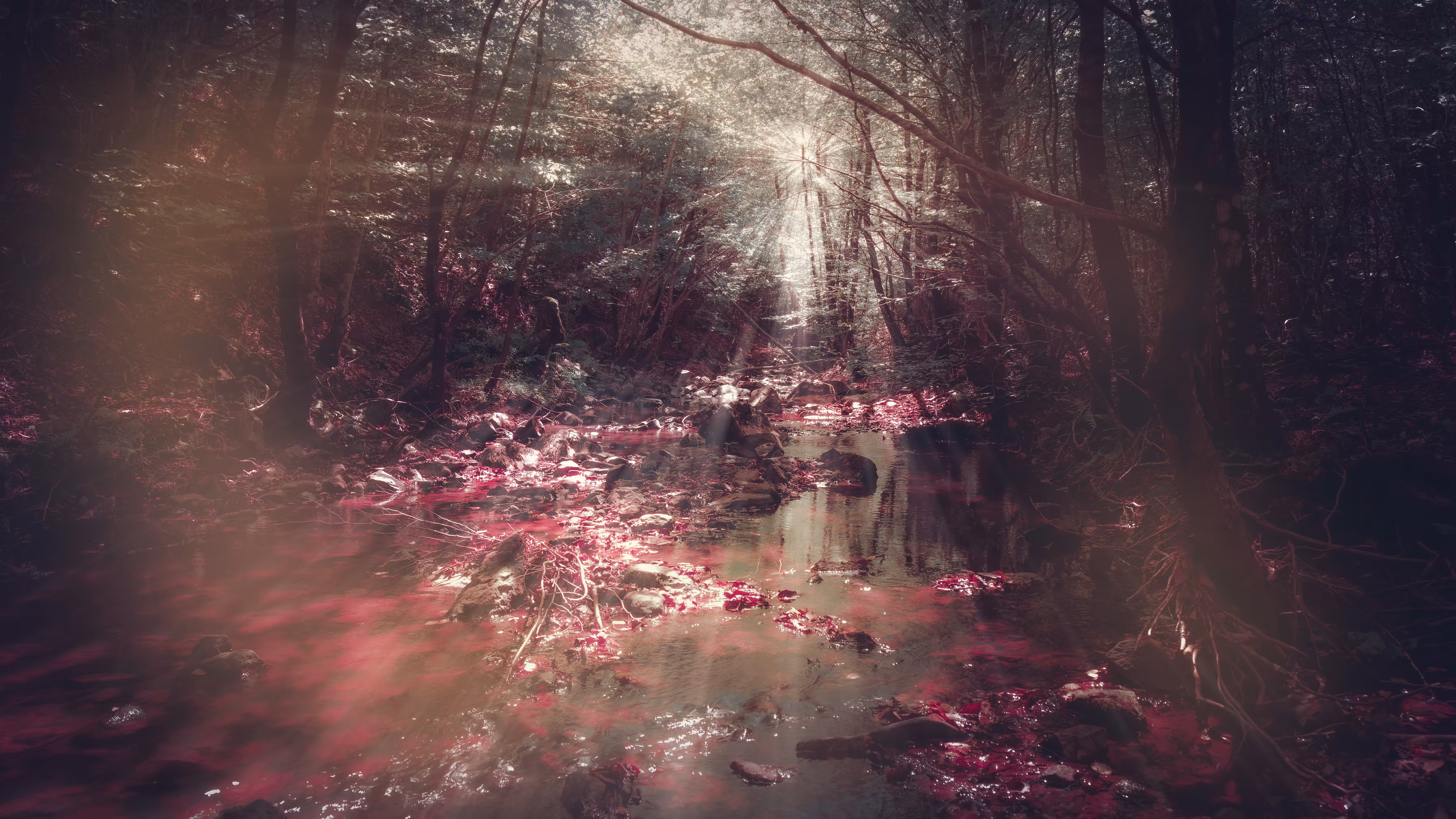 Infected forest