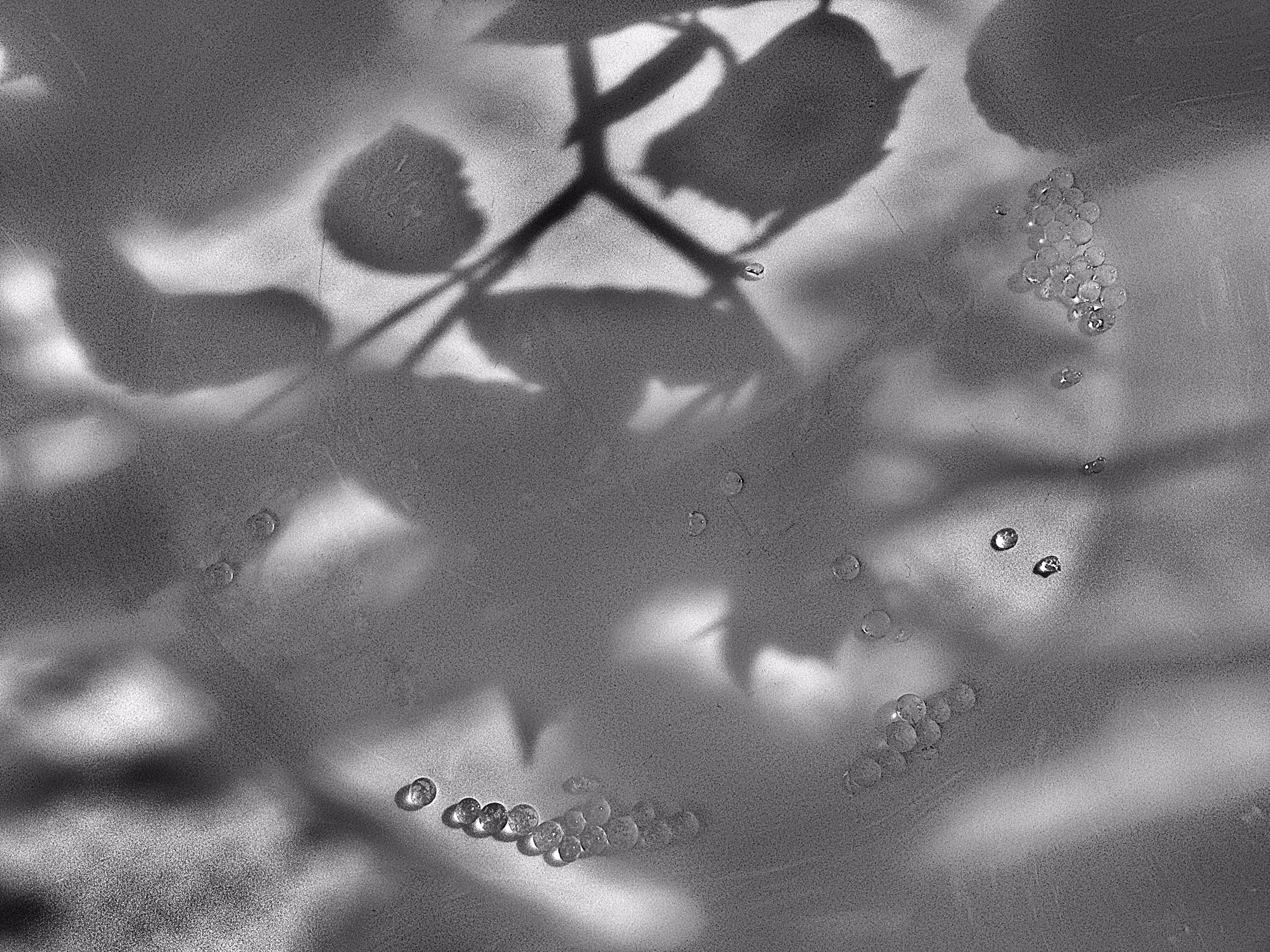 Light and shadows #1