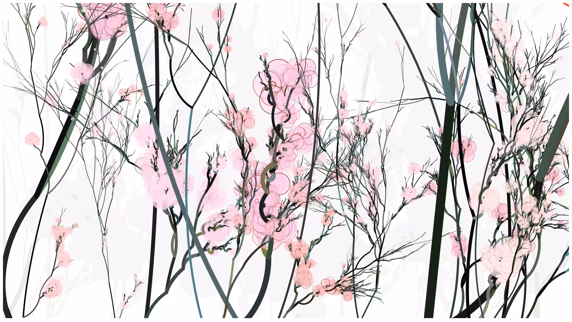 CODE-BLOSSOM #51