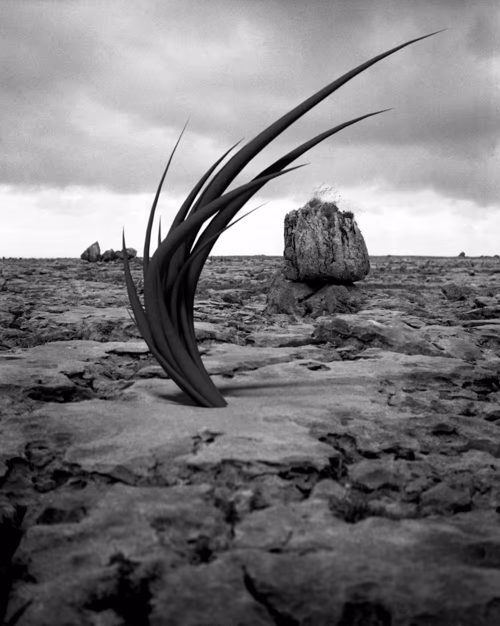 Perceived Landscape #1
