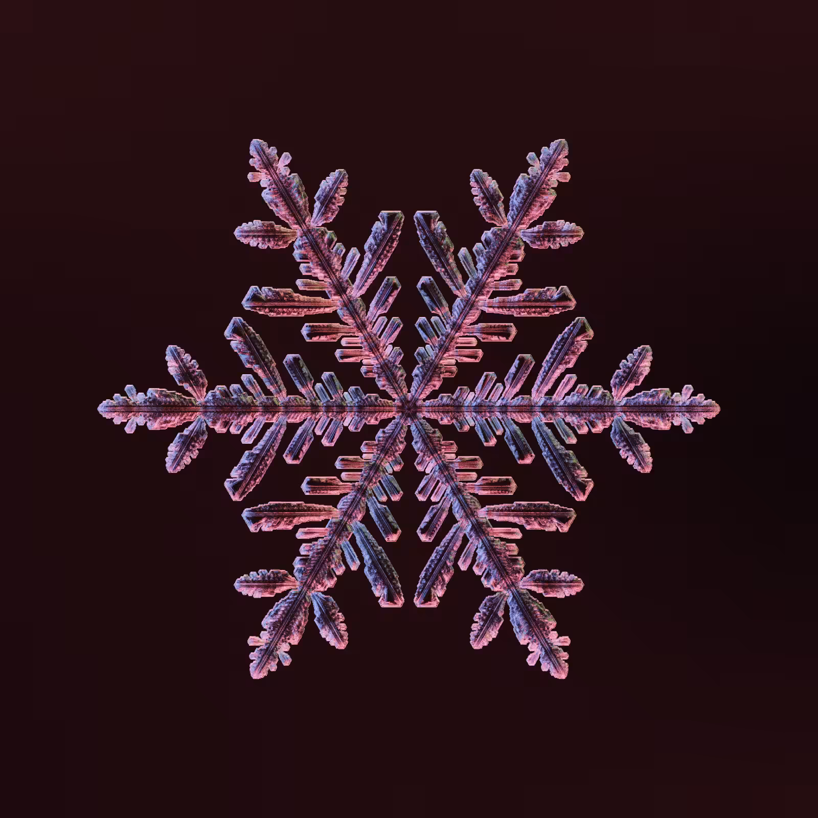 Symmetry and Intricacy #22