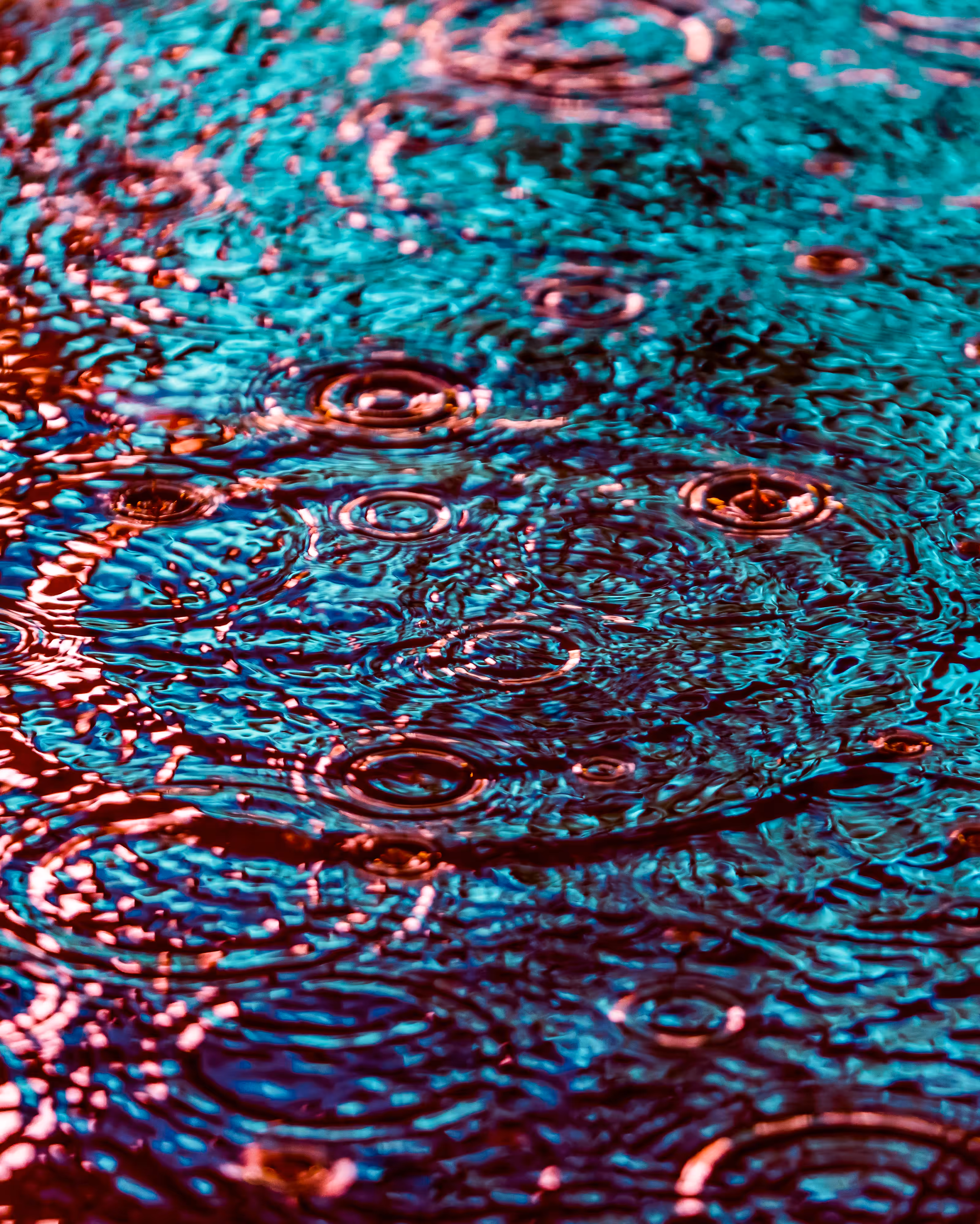 DRIP DROP: DRIP #496