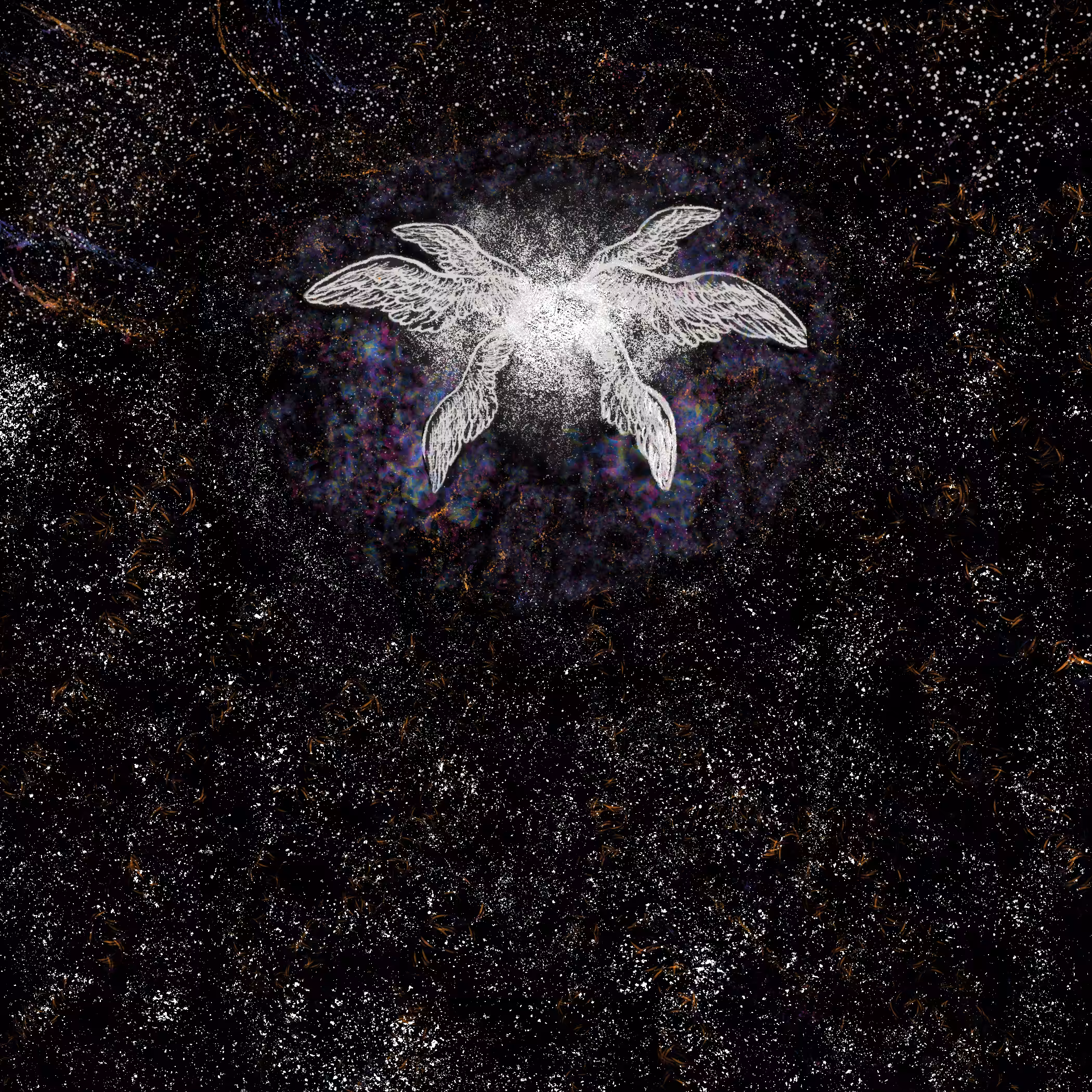 Wings by the Universe