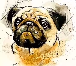 ODs#010 Pug