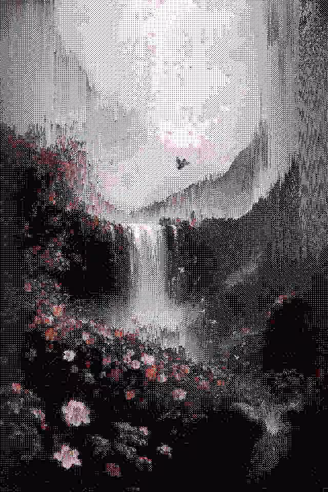 eden
