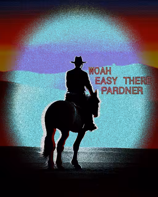Whoa Easy There Pardner