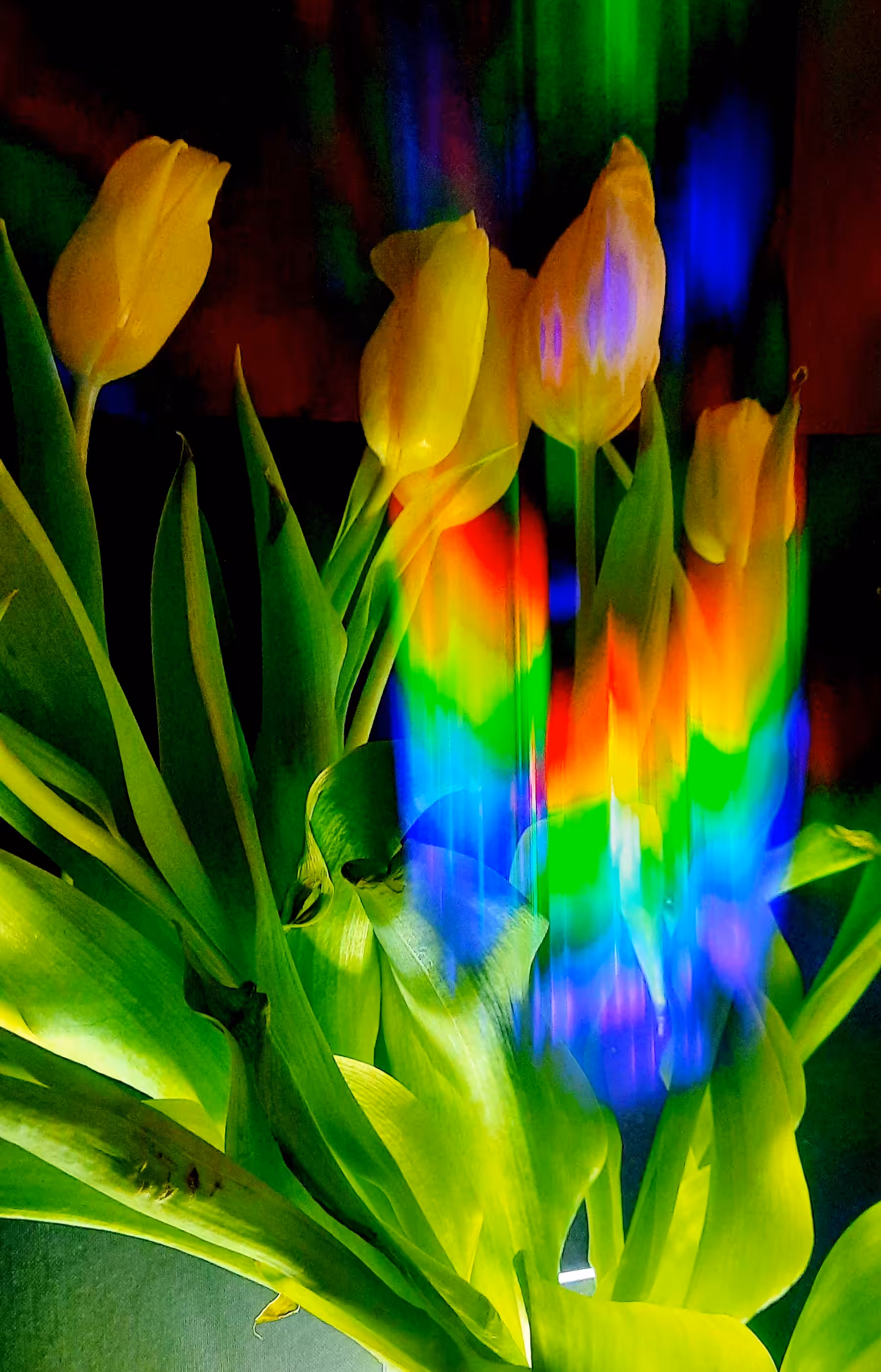 Spectral springtime