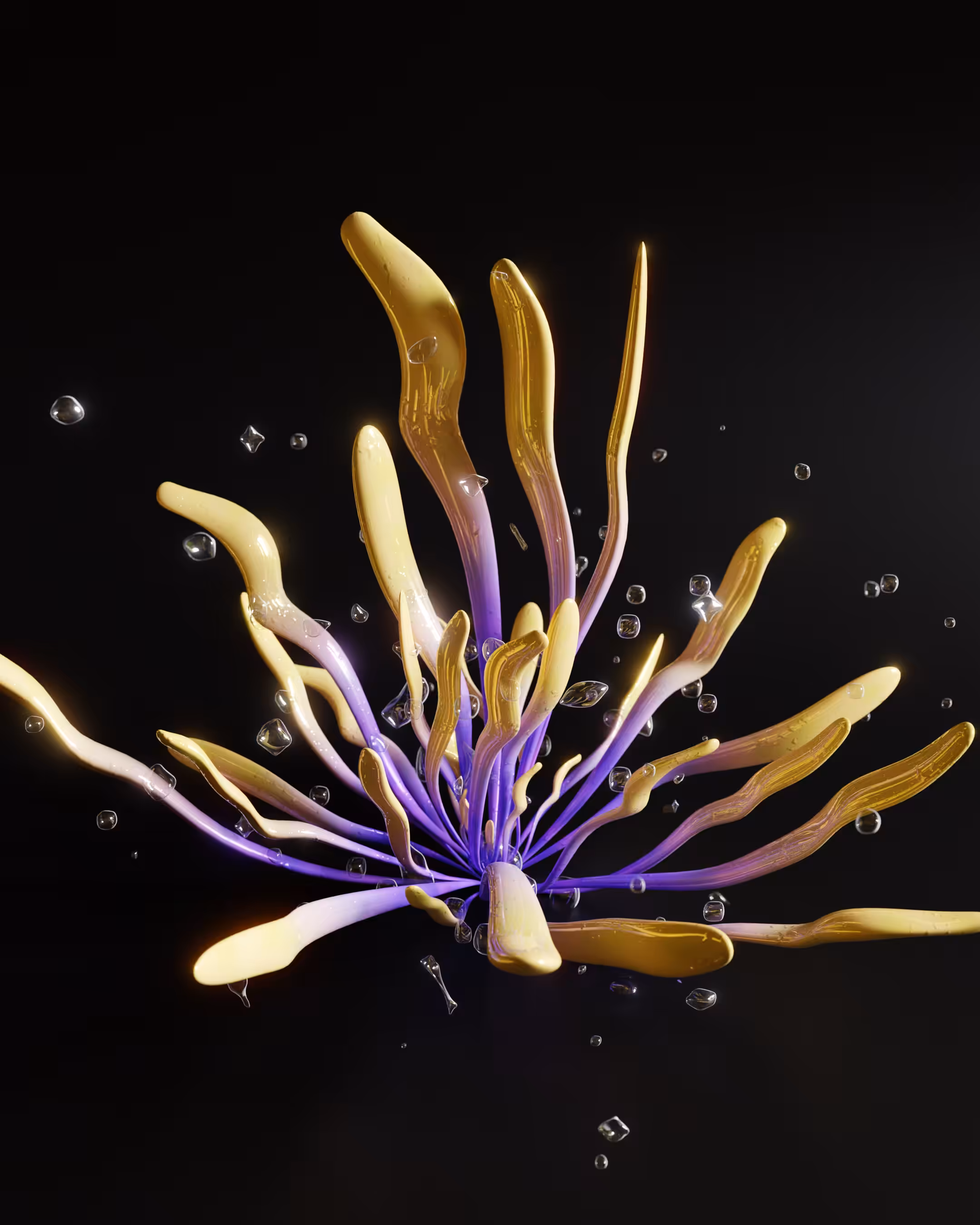 sea.form.002