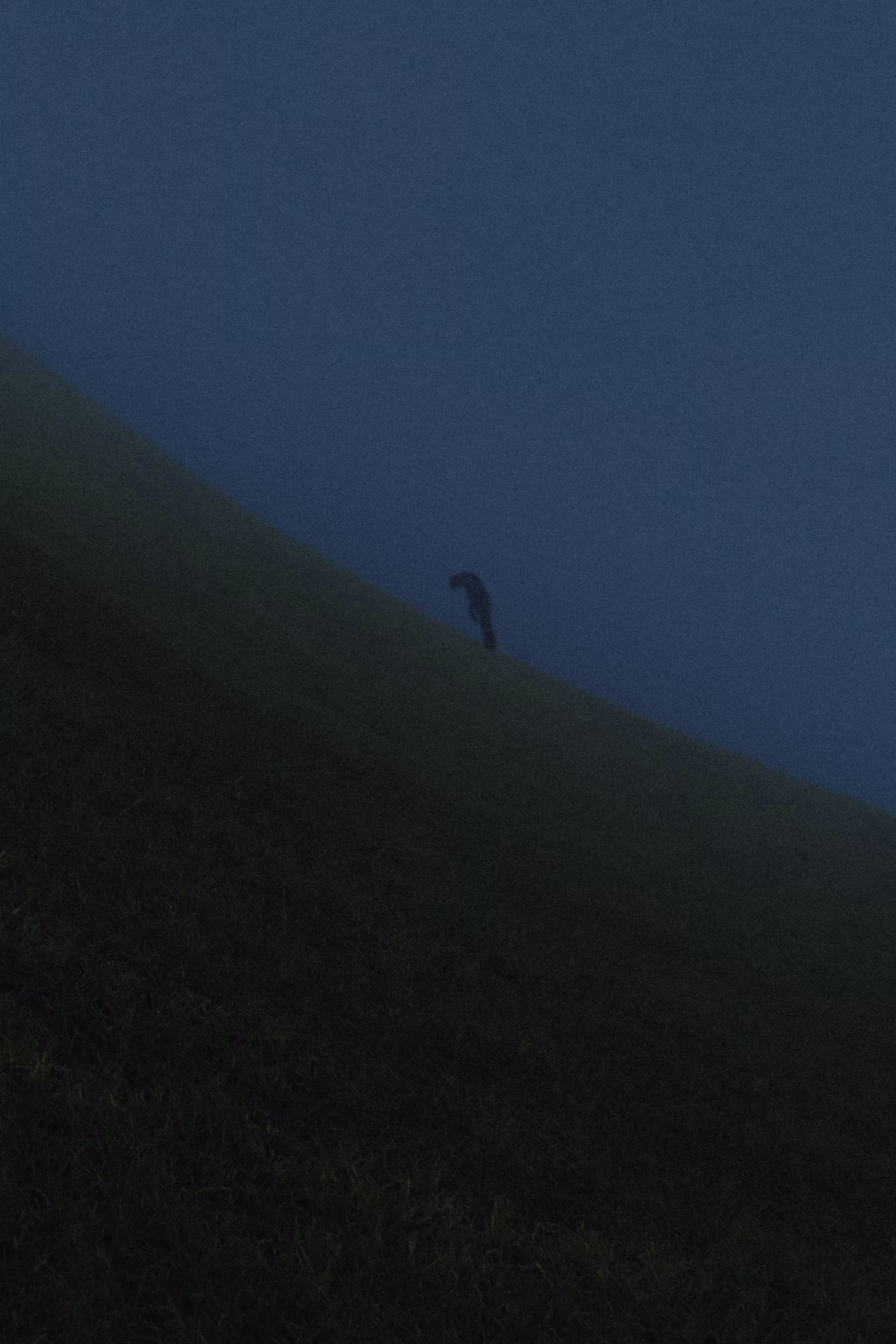 Lost Horizon