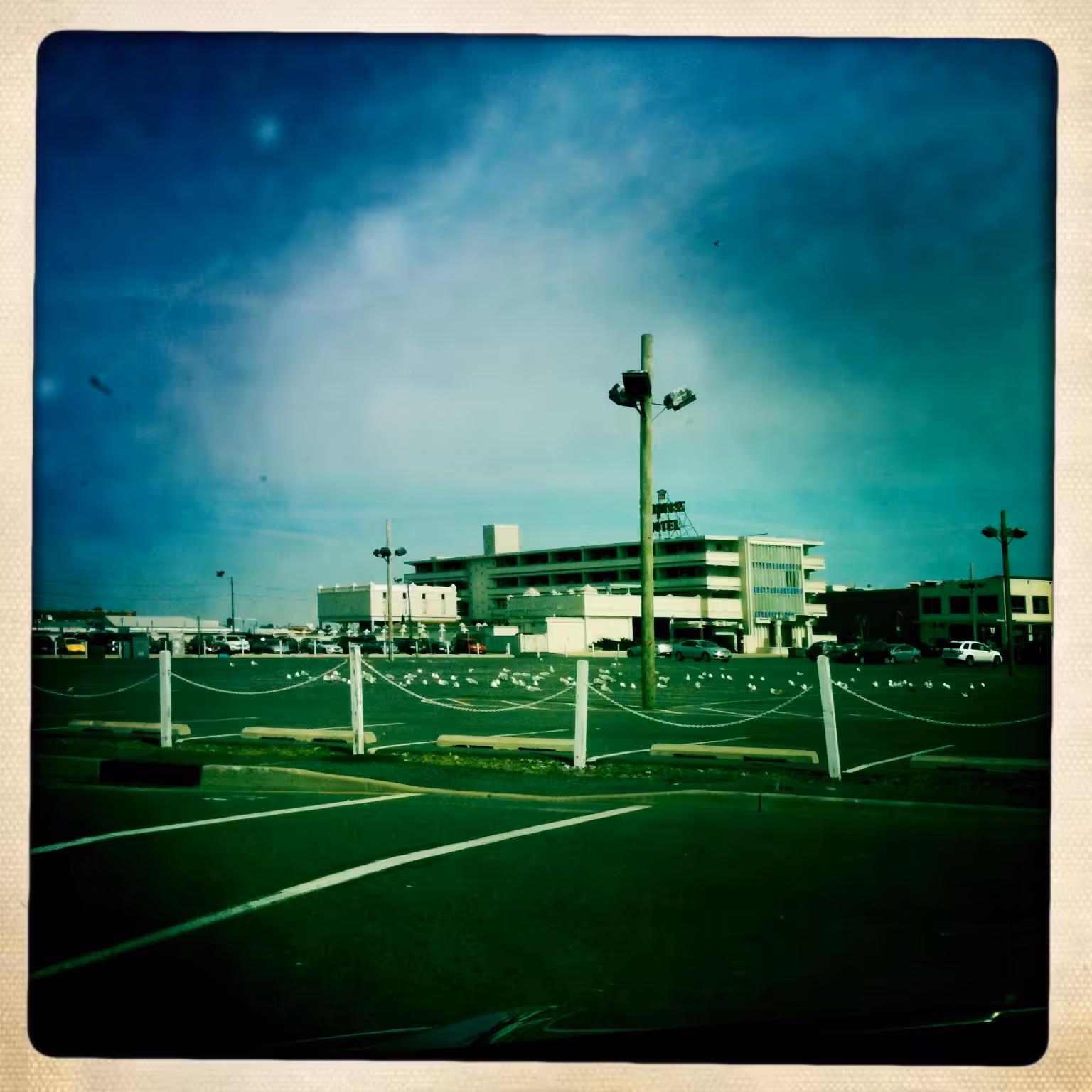 hipsta: IMG_4885