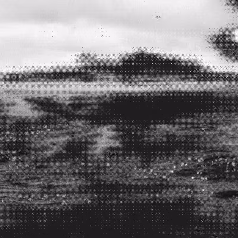 Scrambled Memories #68