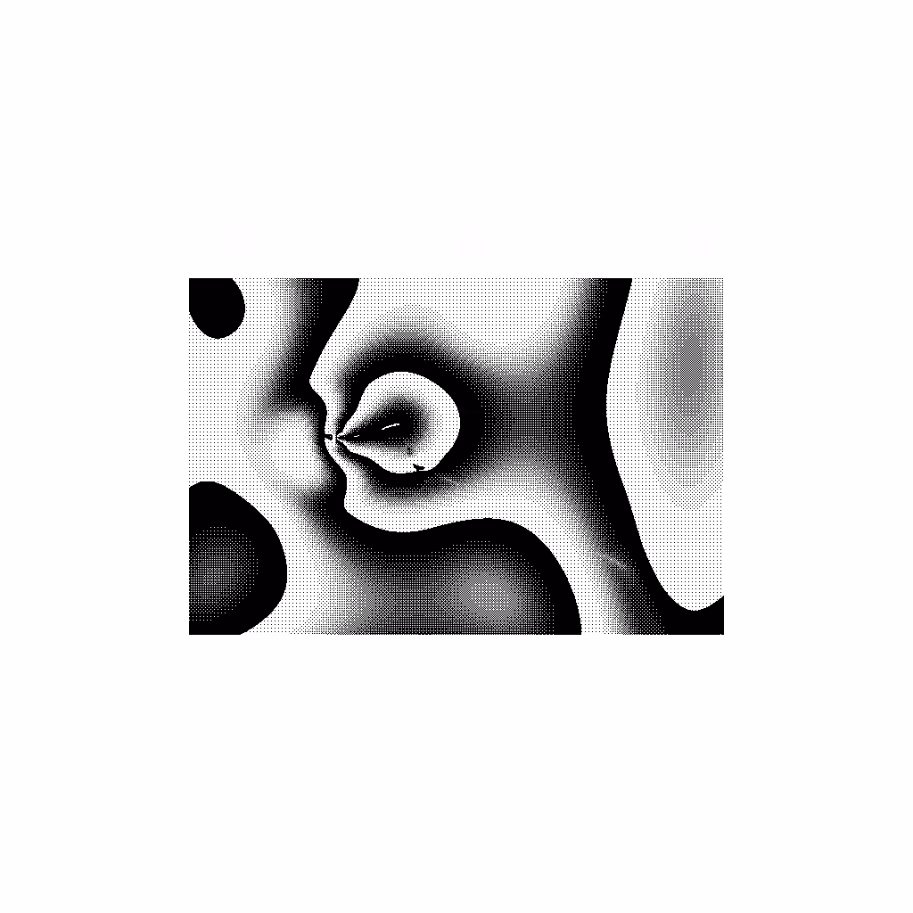 What Draws Us #51