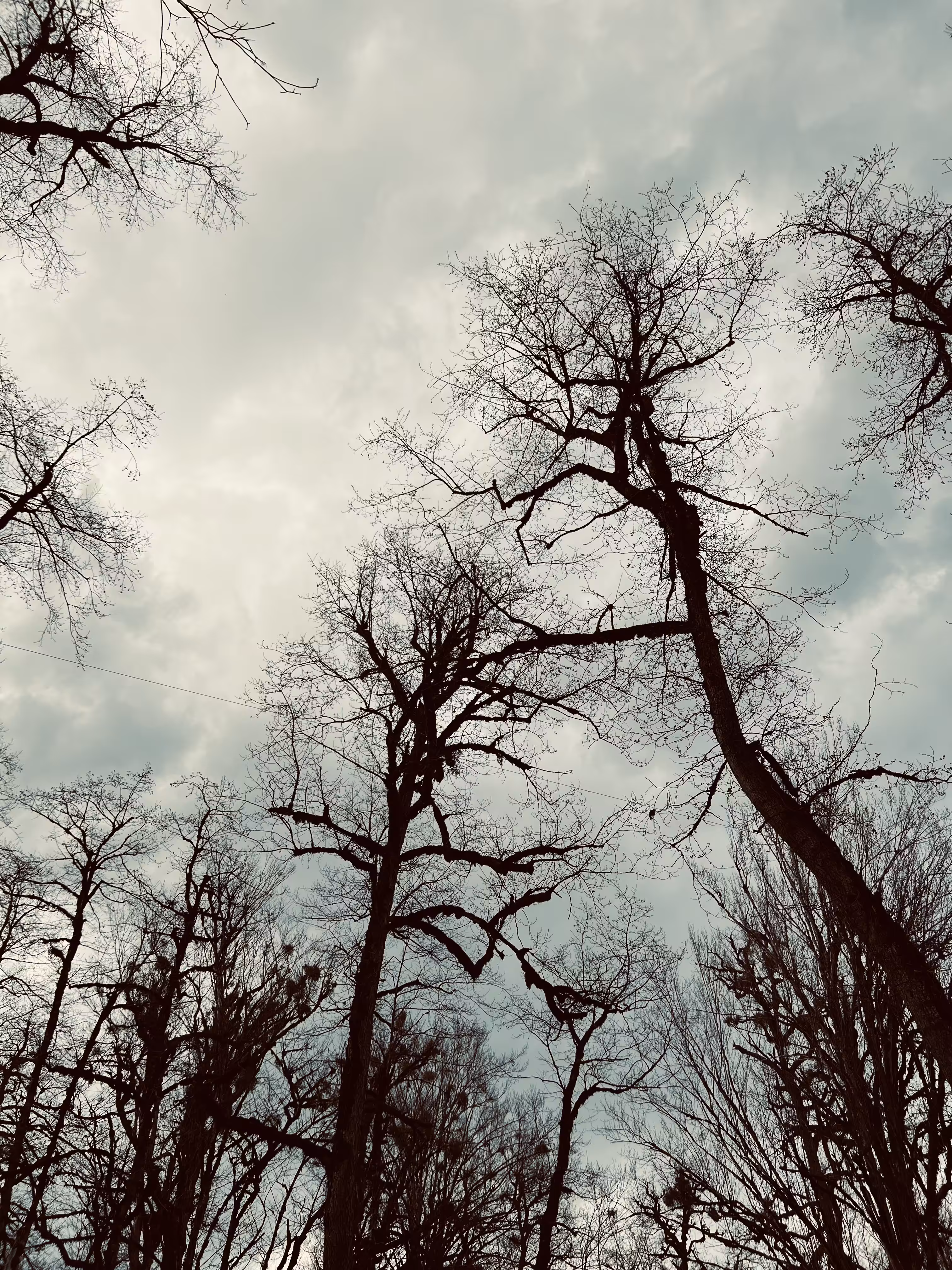Distances