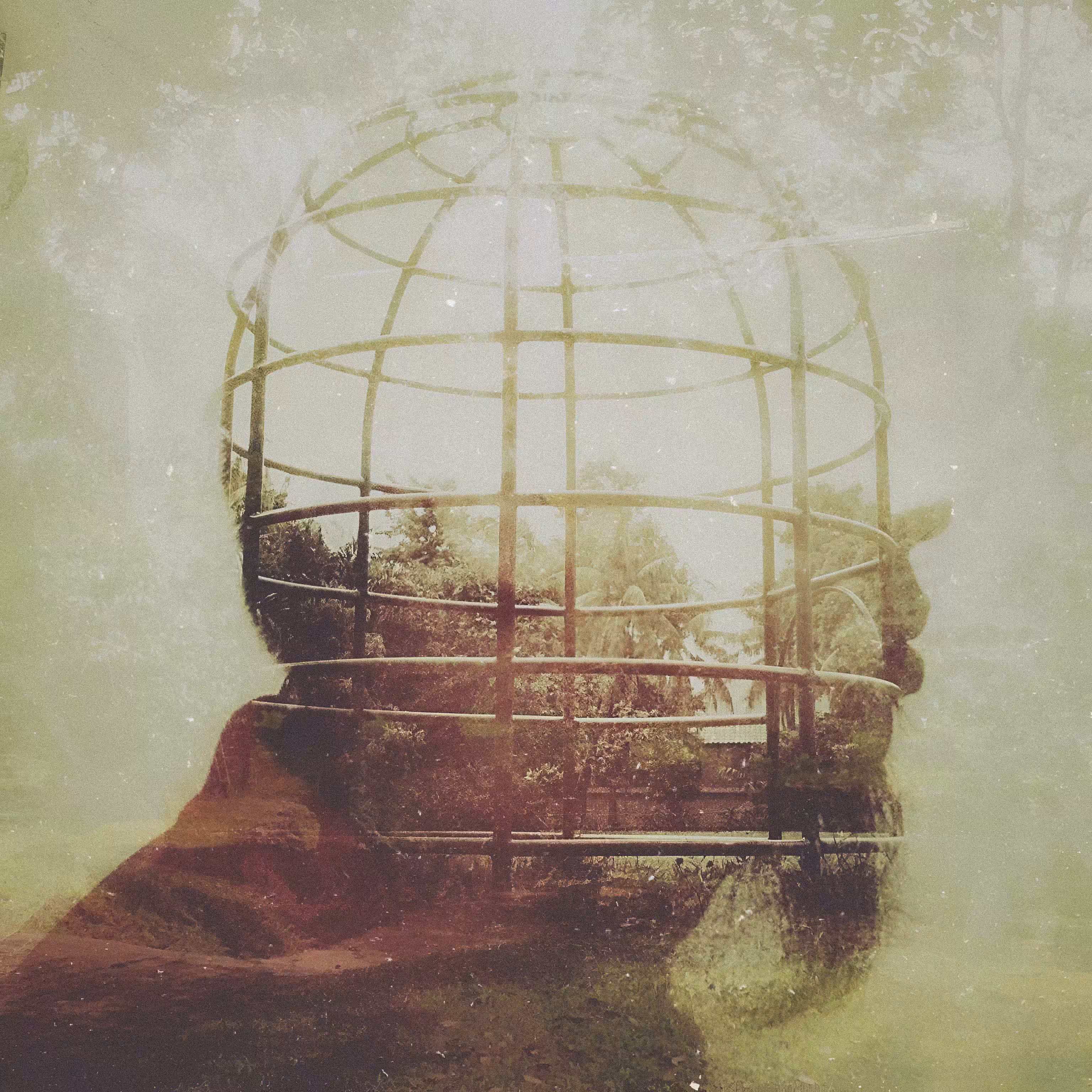 Cage Head