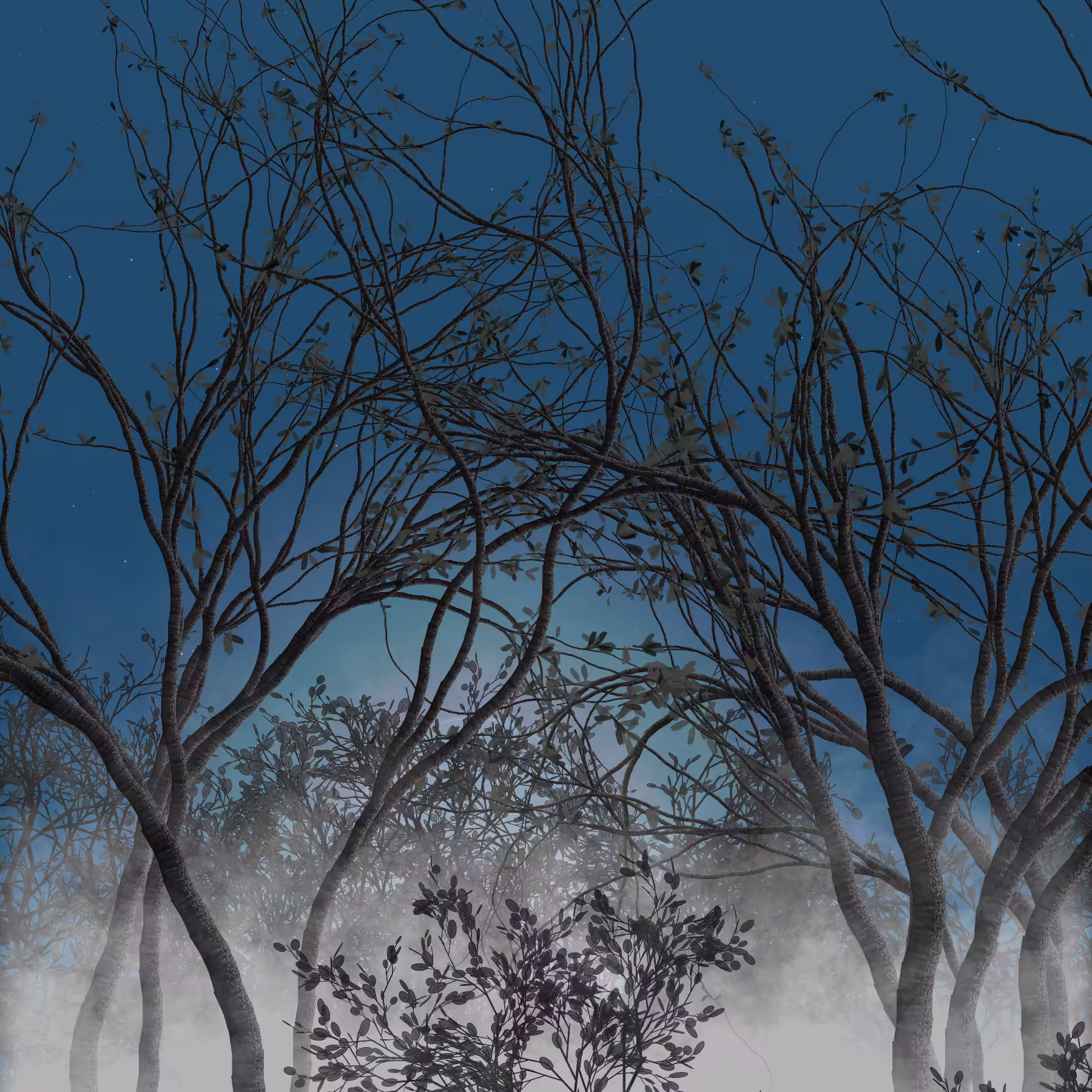 Morning Mist #205