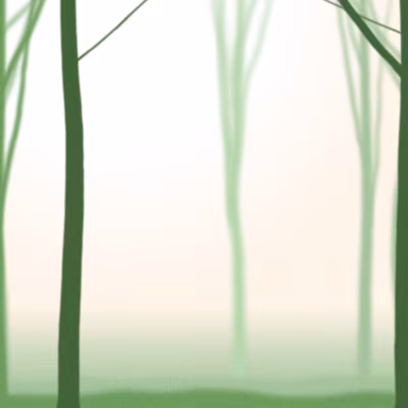 The Woods #3