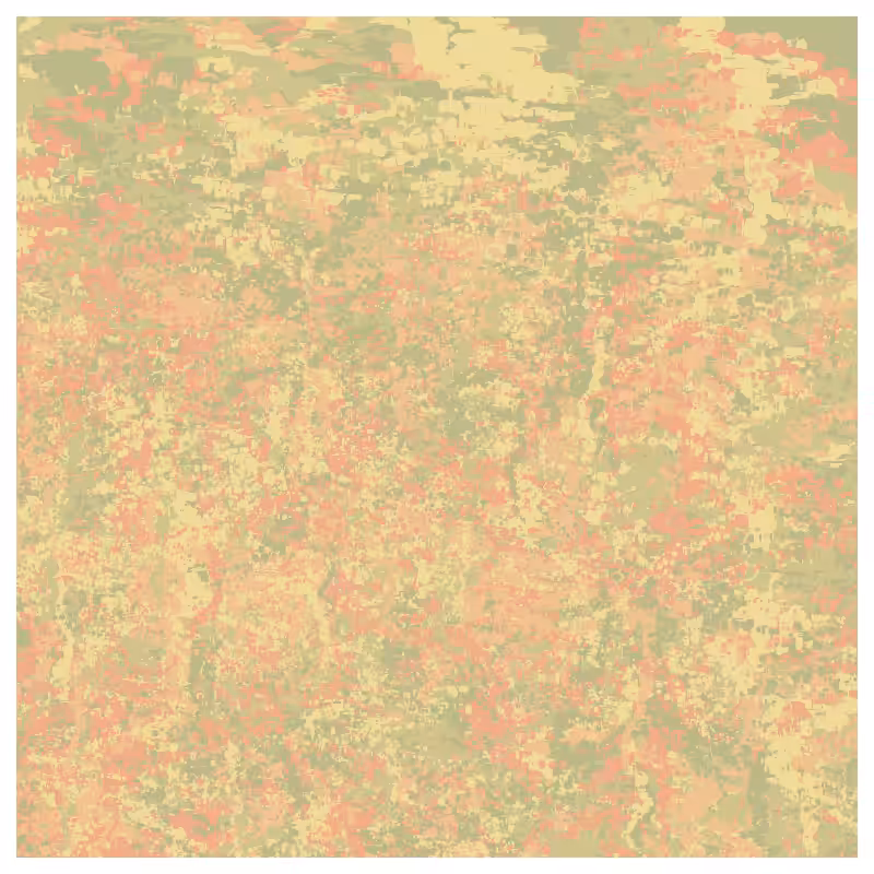 Paint & Brush #47