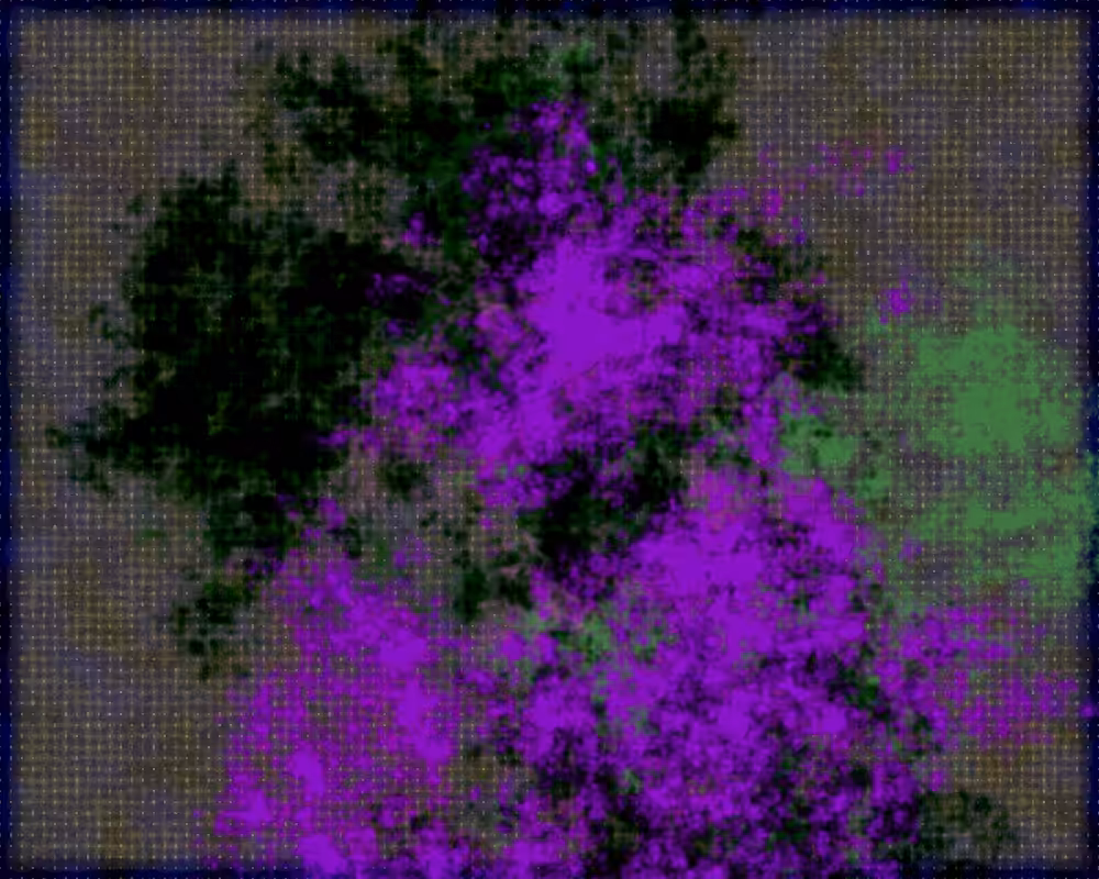 Hazy Minds #1