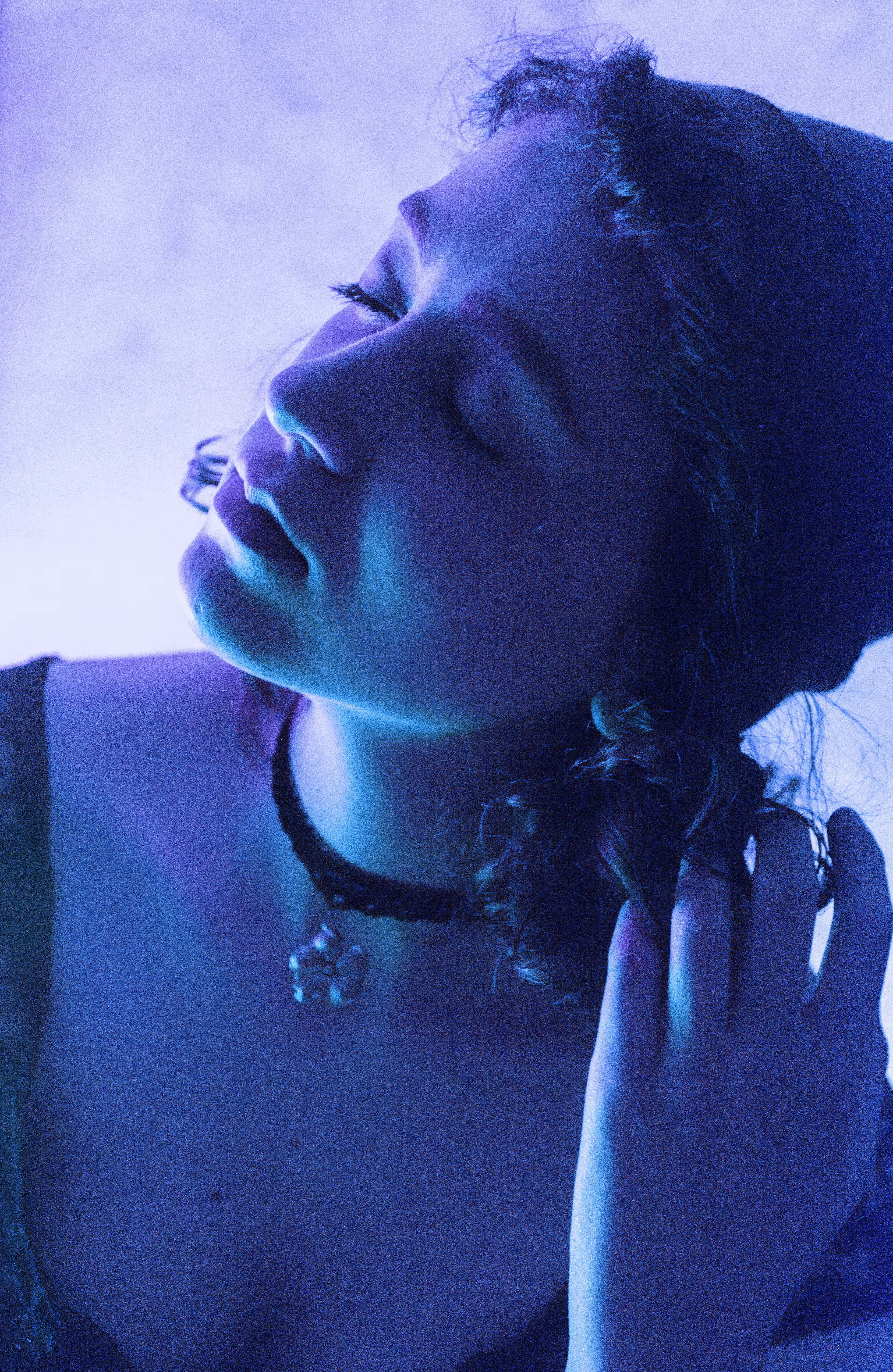 Nightfall Reverie  