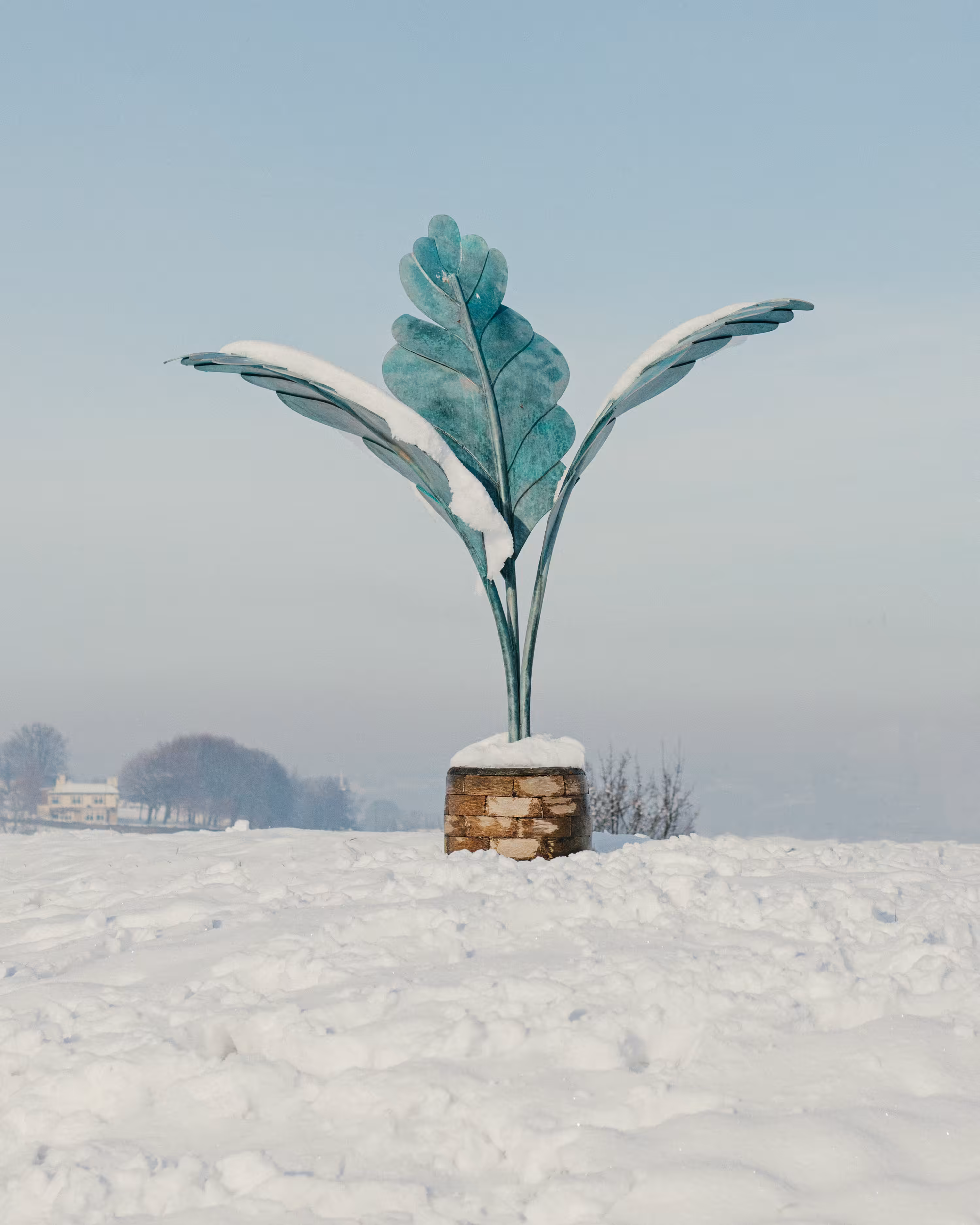 Winter Flowers #6